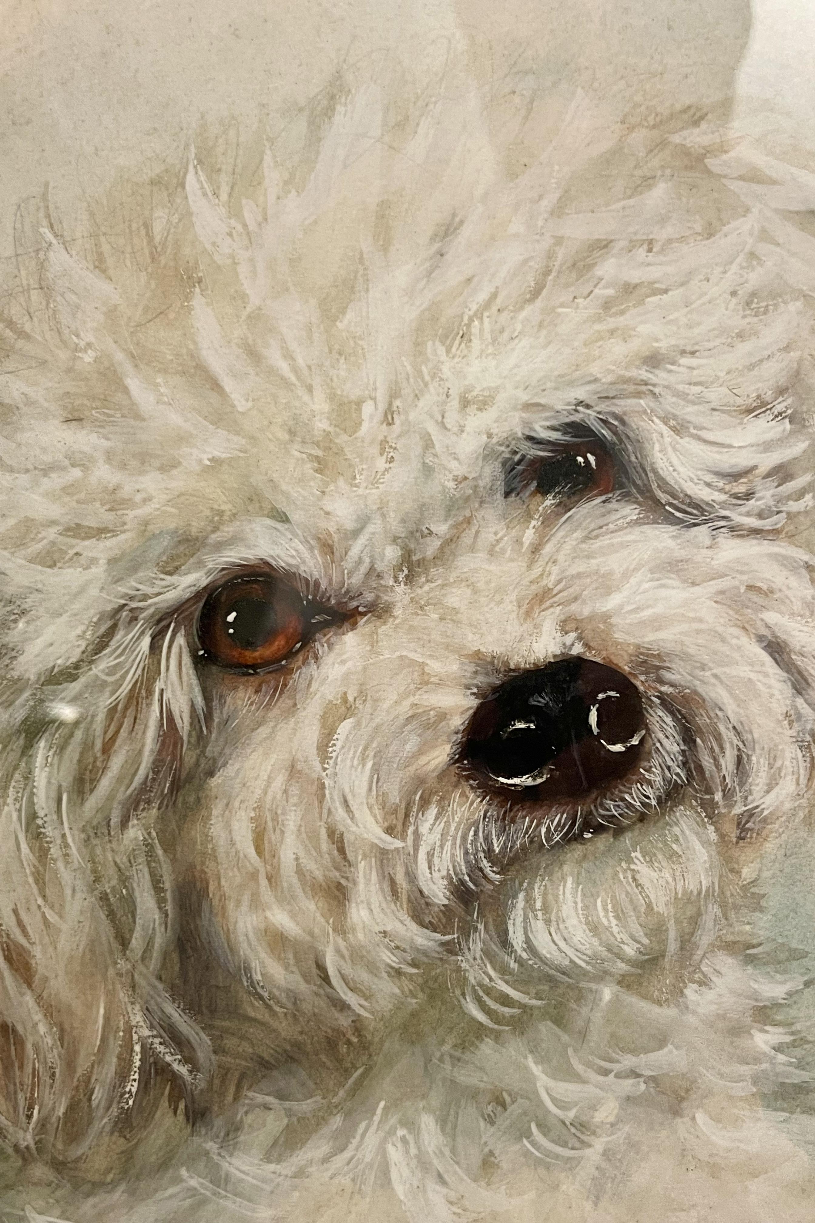 Watercolor painting depicting a poodle dog, cherry wood frame, England 1930s. For Sale 1