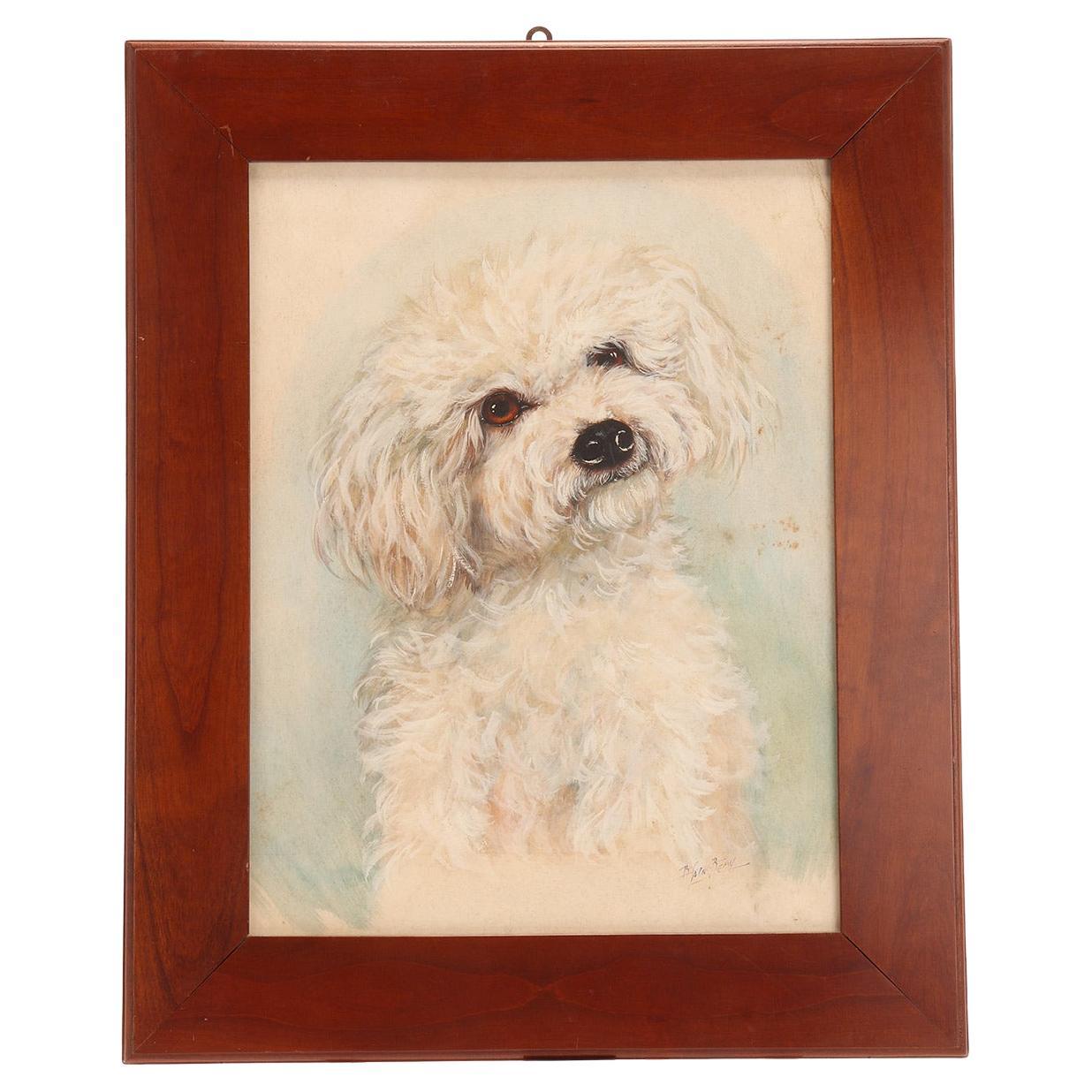 Watercolor painting depicting a poodle dog, cherry wood frame, England 1930s.