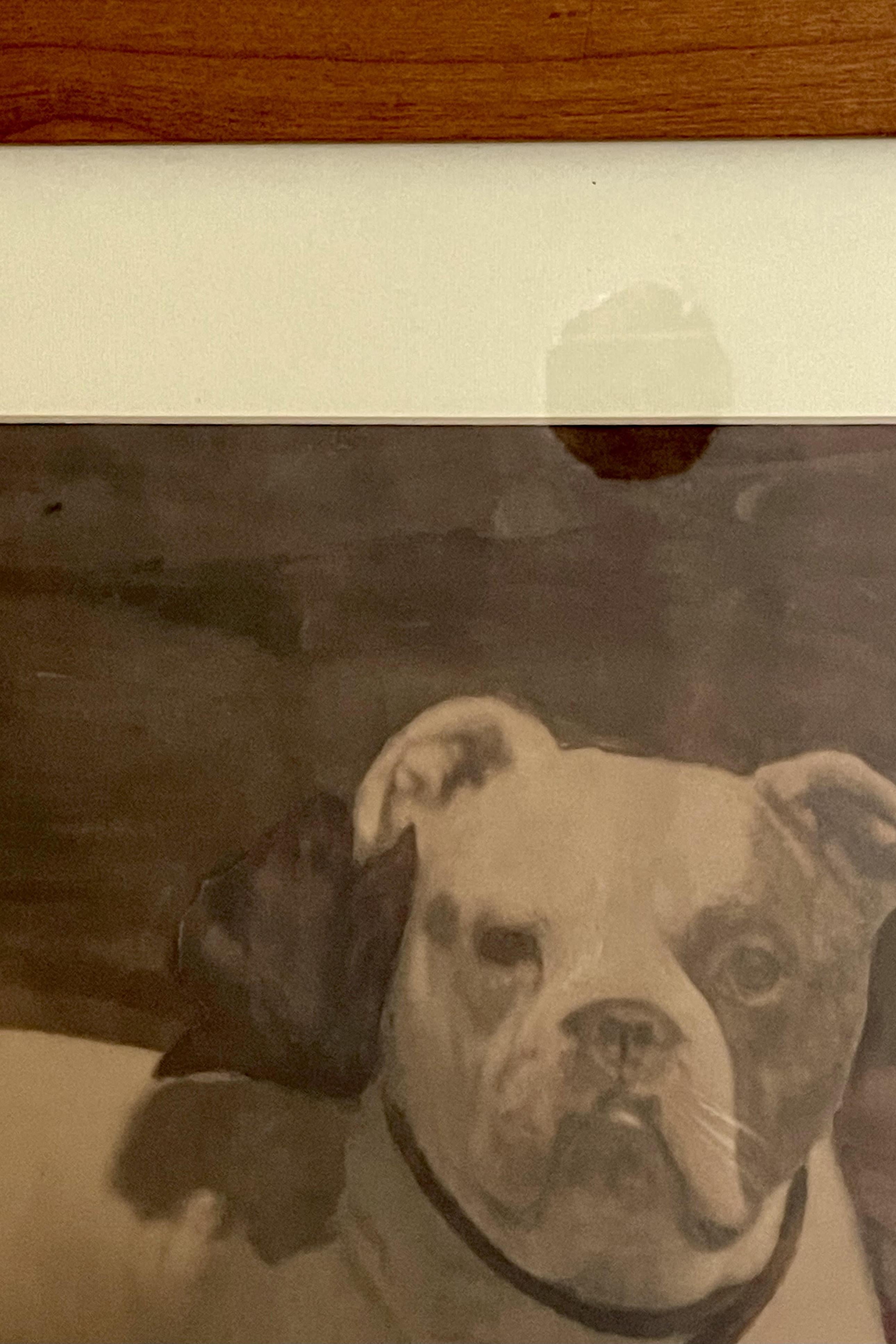 Aquarelldruck mit der Darstellung einer englischen Bulldogge, England 1910. (Holz) im Angebot