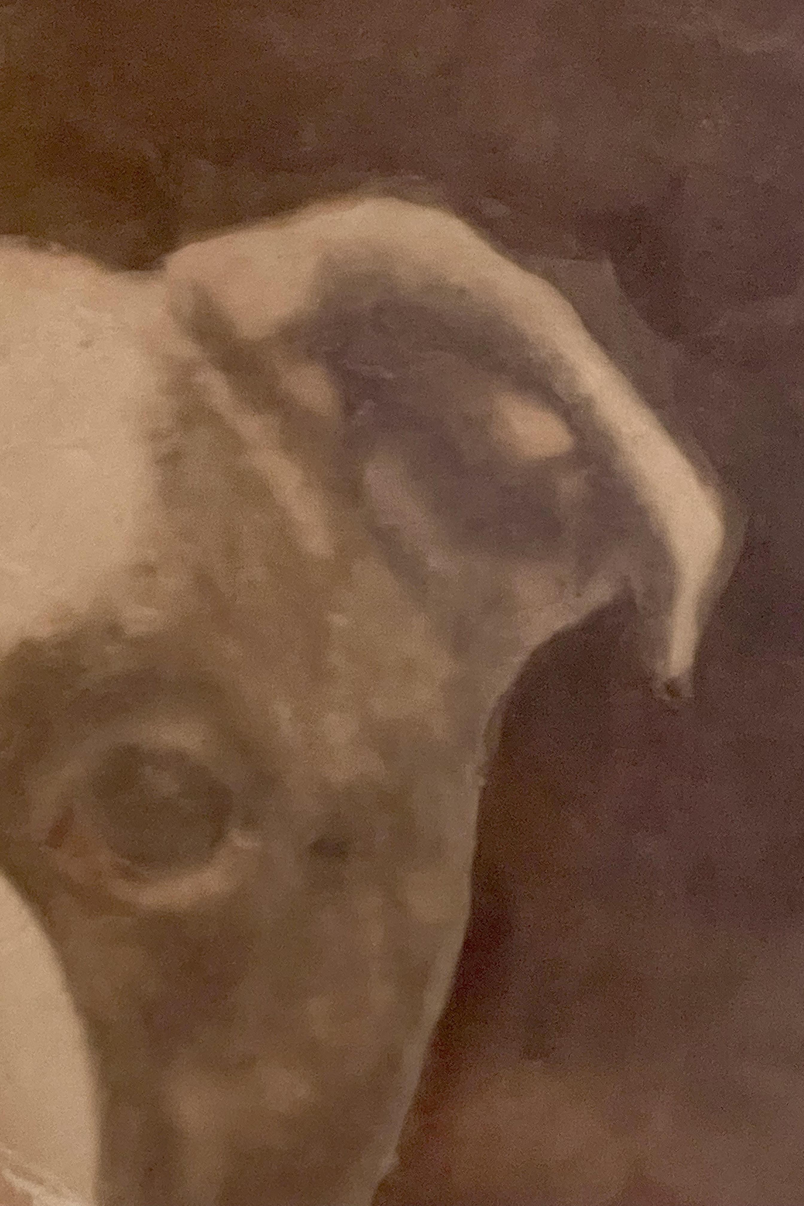 Aquarelldruck mit der Darstellung einer englischen Bulldogge, England 1910. im Angebot 2