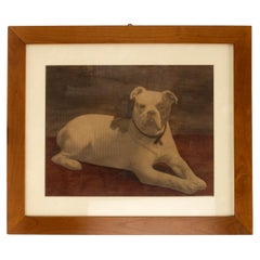 Watercolor print depicting an English Bulldog, England 1910.