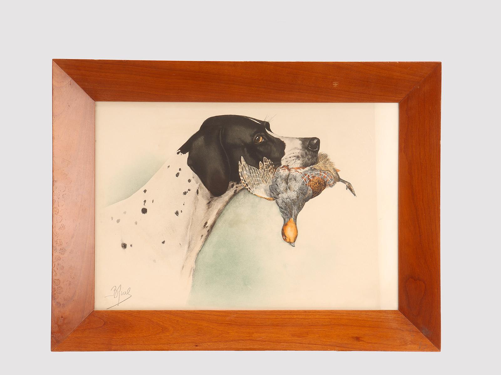 Estampa que representa la cabeza de un perro Pointer con el faisán en la boca, de B. Riab (1898-1975) Marco de madera maciza de cerezo, pulido y encerado con cera de abeja. EEUU circa 1920.