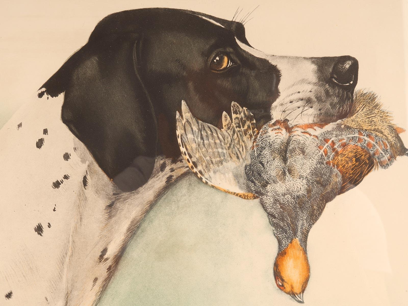 Grabado que representa la cabeza de un perro Pointer con un faisán, EE.UU. hacia 1920. Estadounidense en venta