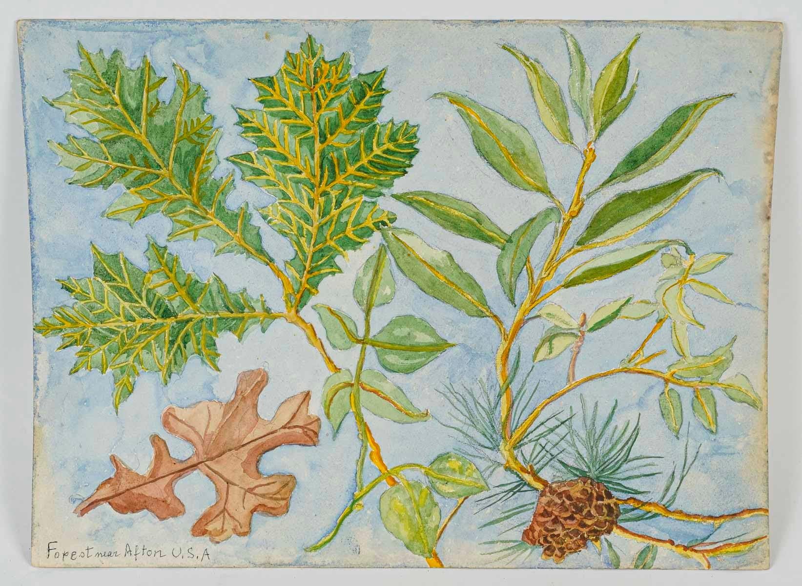 Acuarela sobre papel, dibujo a doble cara, 1962.

Acuarela sobre papel que representa una flor de mimosa por un lado y follaje de árbol por el otro, firmada y fechada en 1962 en Acton, EE.UU.
Alto: 30,5 cm, Ancho: 40,5 cm, Fondo: 0,2 cm