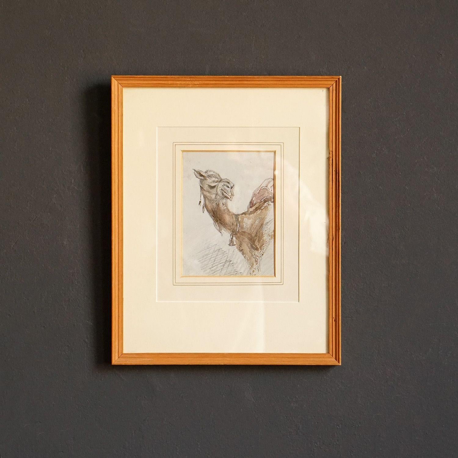 Watercolour Study of a Camel by Sir Charles Walters D'Oyly, 19th Century Antique In Good Condition In Bristol, GB