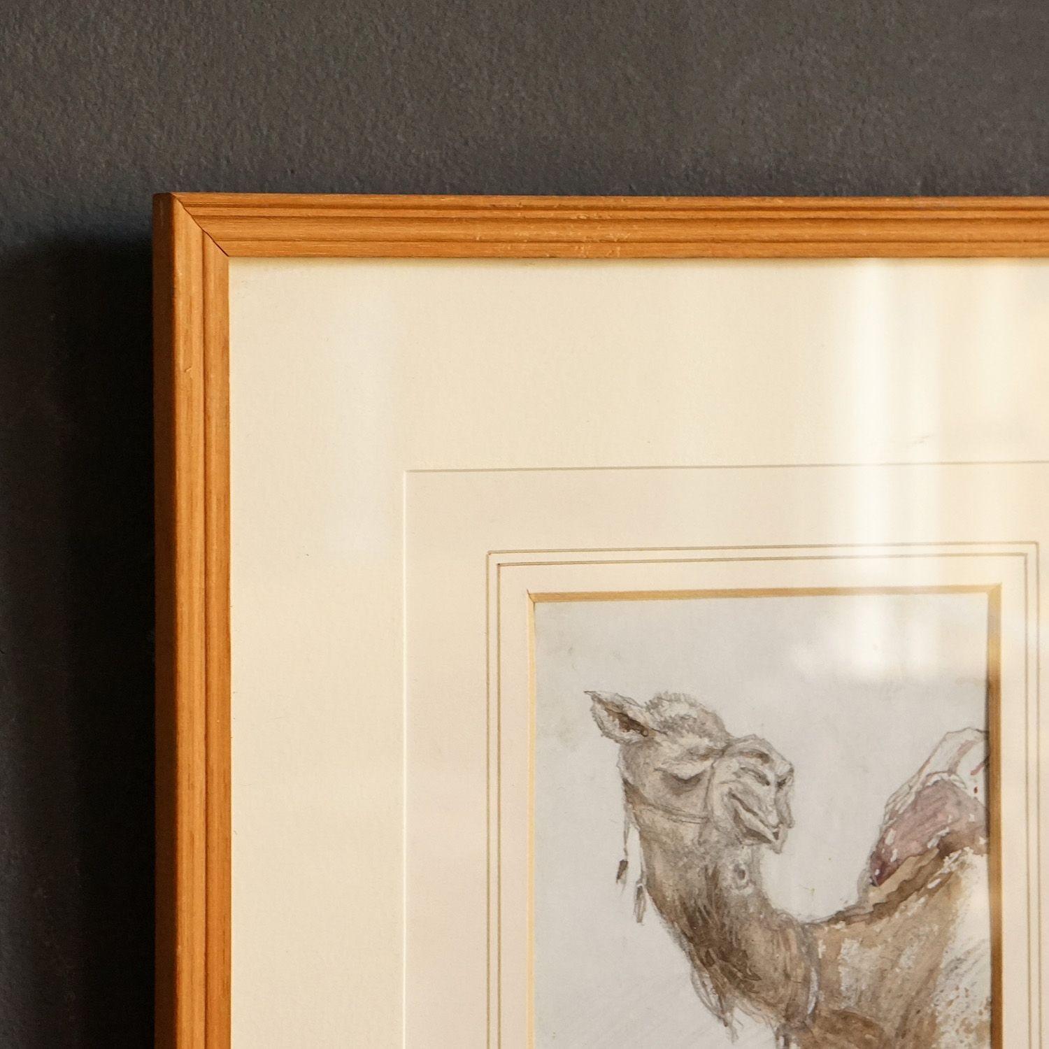 Watercolour Study of a Camel by Sir Charles Walters D'Oyly, 19th Century Antique 1