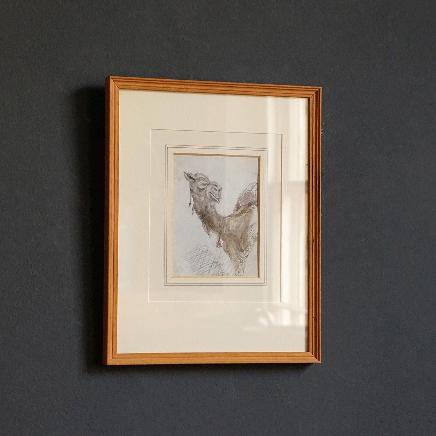 Watercolour Study of a Camel by Sir Charles Walters D'Oyly, 19th Century Antique 2