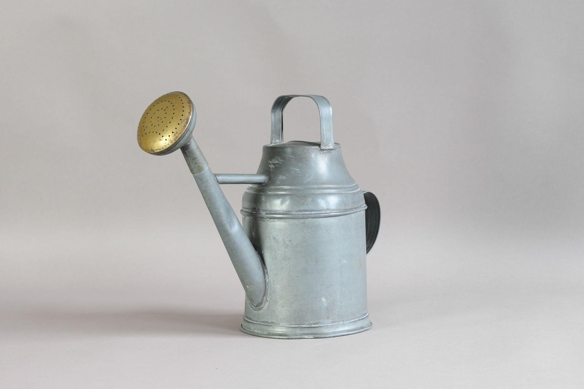 Can in metallo zincato con irrigatore in ottone. Circa 1930
H. H. 28cm x L. 15cm x P. 36cm