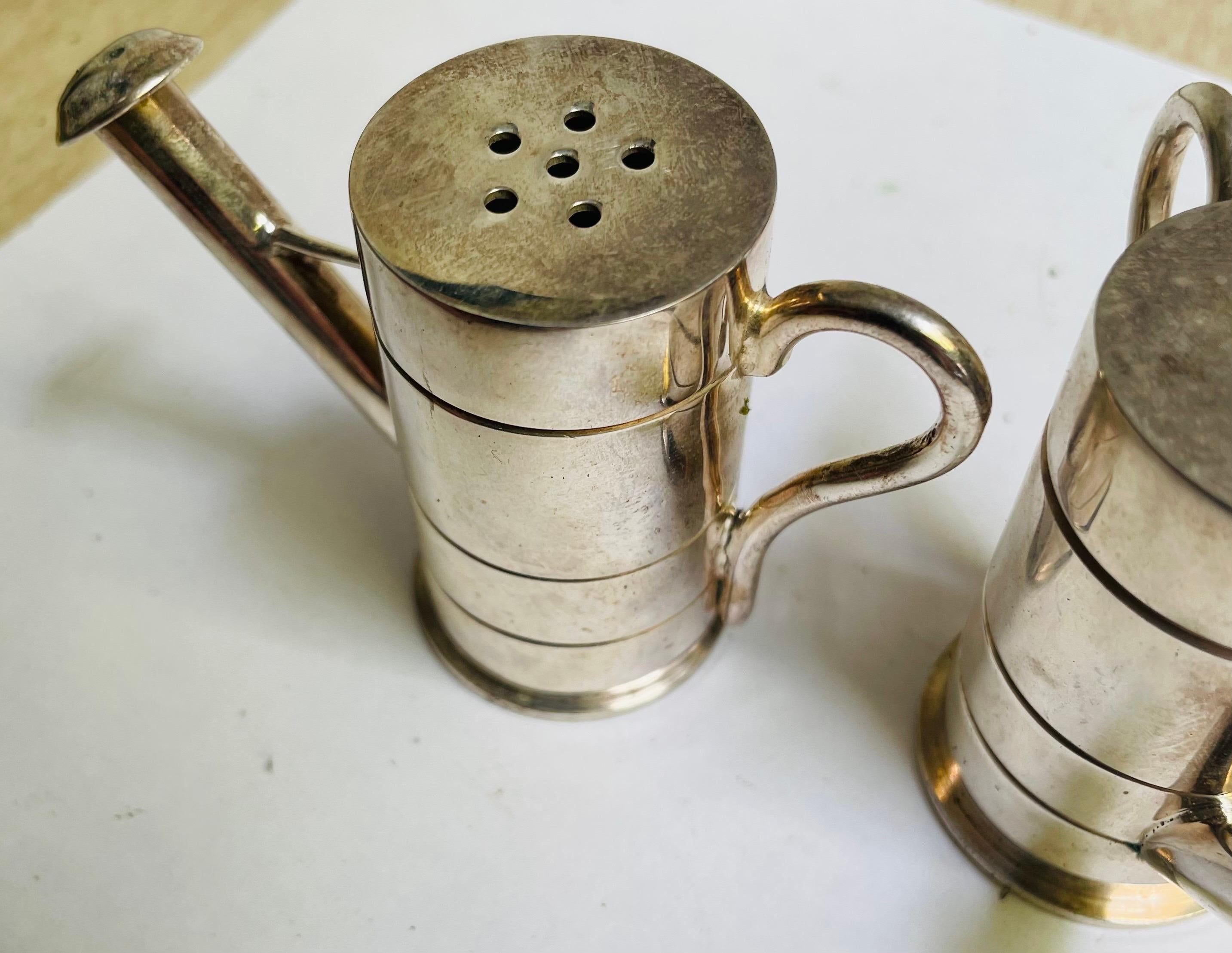 Gießkanne Sprinklerdose Salz- und Pfefferstreuer Paar aus Edelstahl im Angebot 1