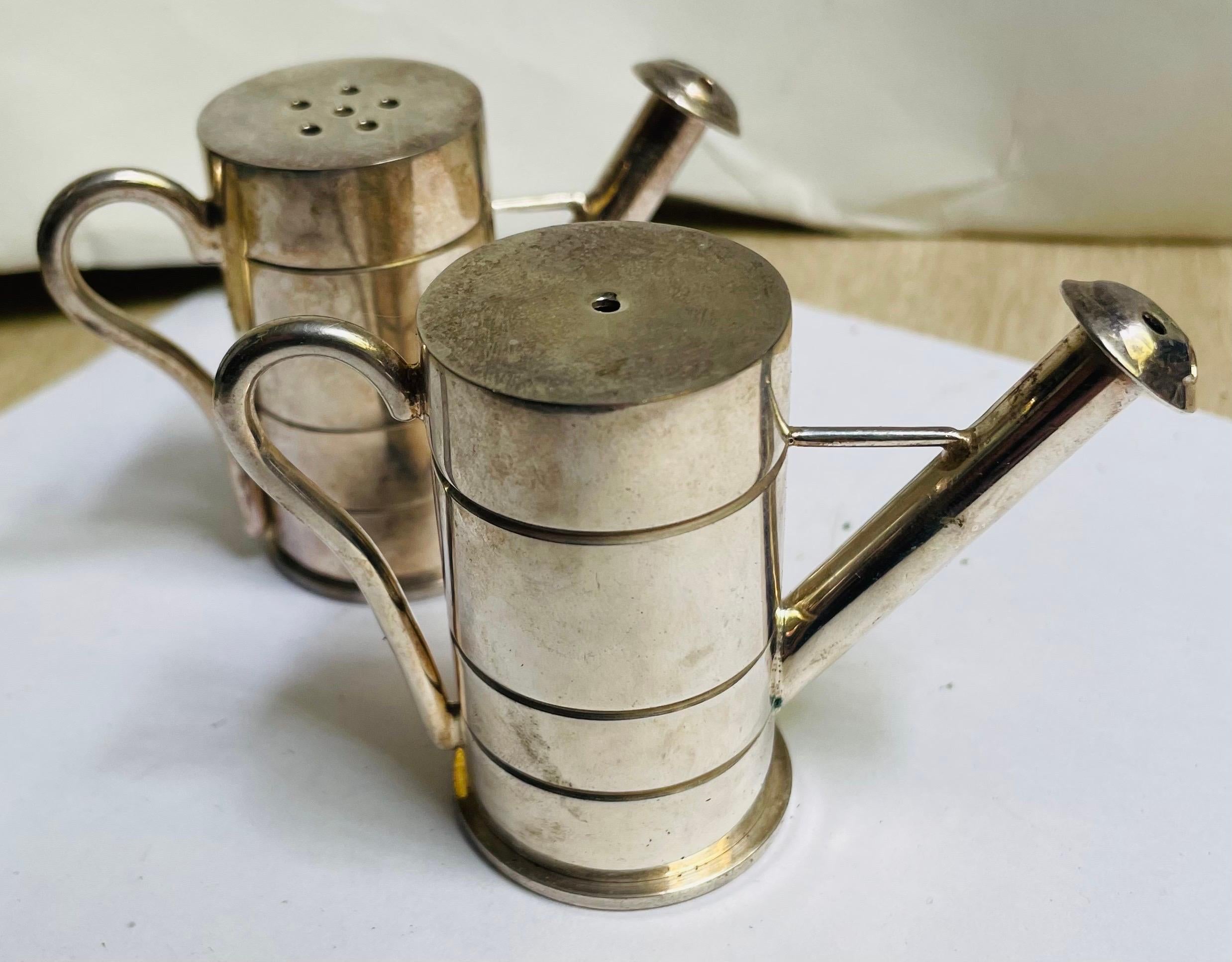 Gießkanne Sprinklerdose Salz- und Pfefferstreuer Paar aus Edelstahl im Angebot 3