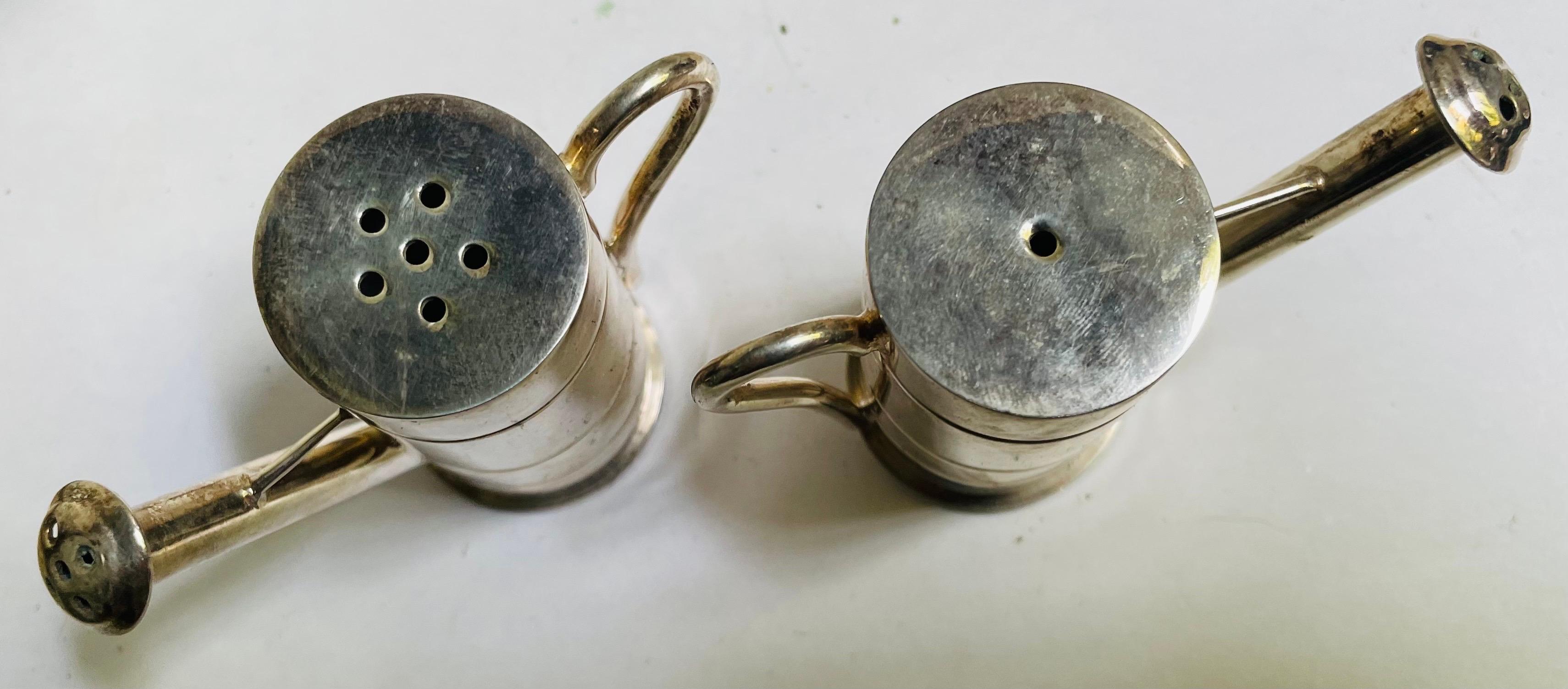 Gießkanne Sprinklerdose Salz- und Pfefferstreuer Paar aus Edelstahl im Angebot 4