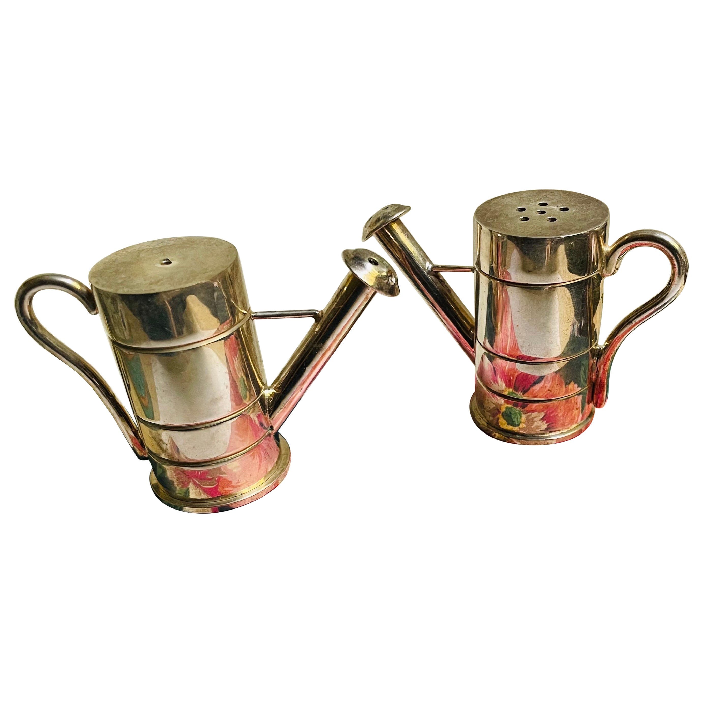 Annaffiatoio Sprinkling Can Sale e Pepe Coppia Shakers Acciaio Inox in vendita