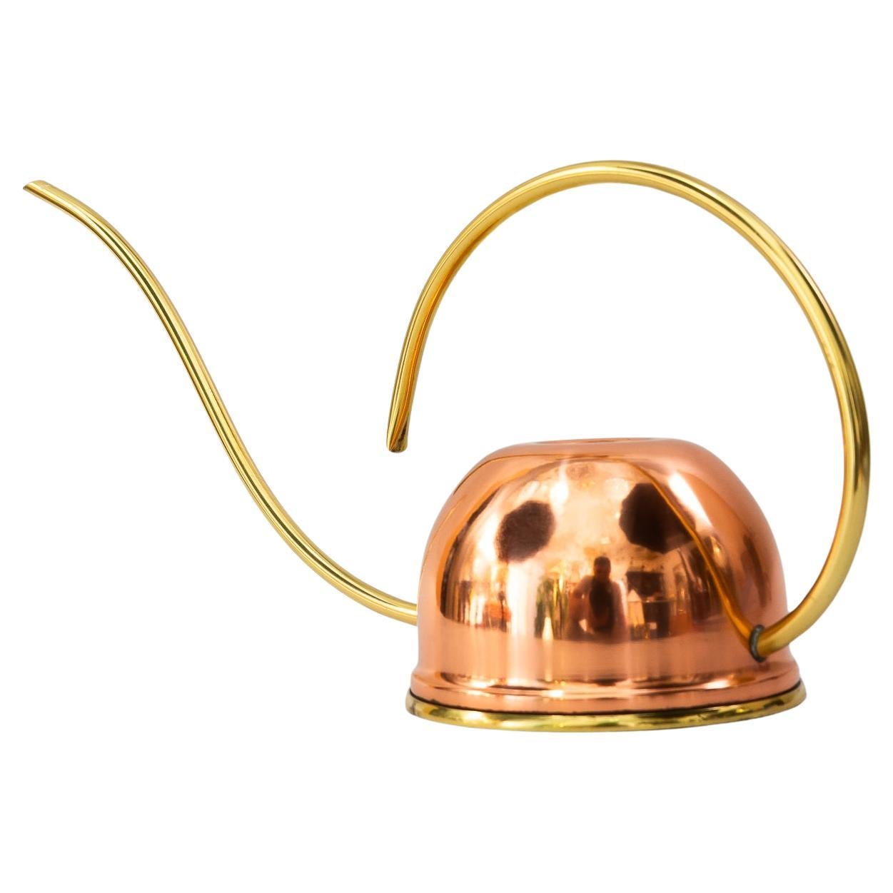 Watering copper brass can vienna around 1960s