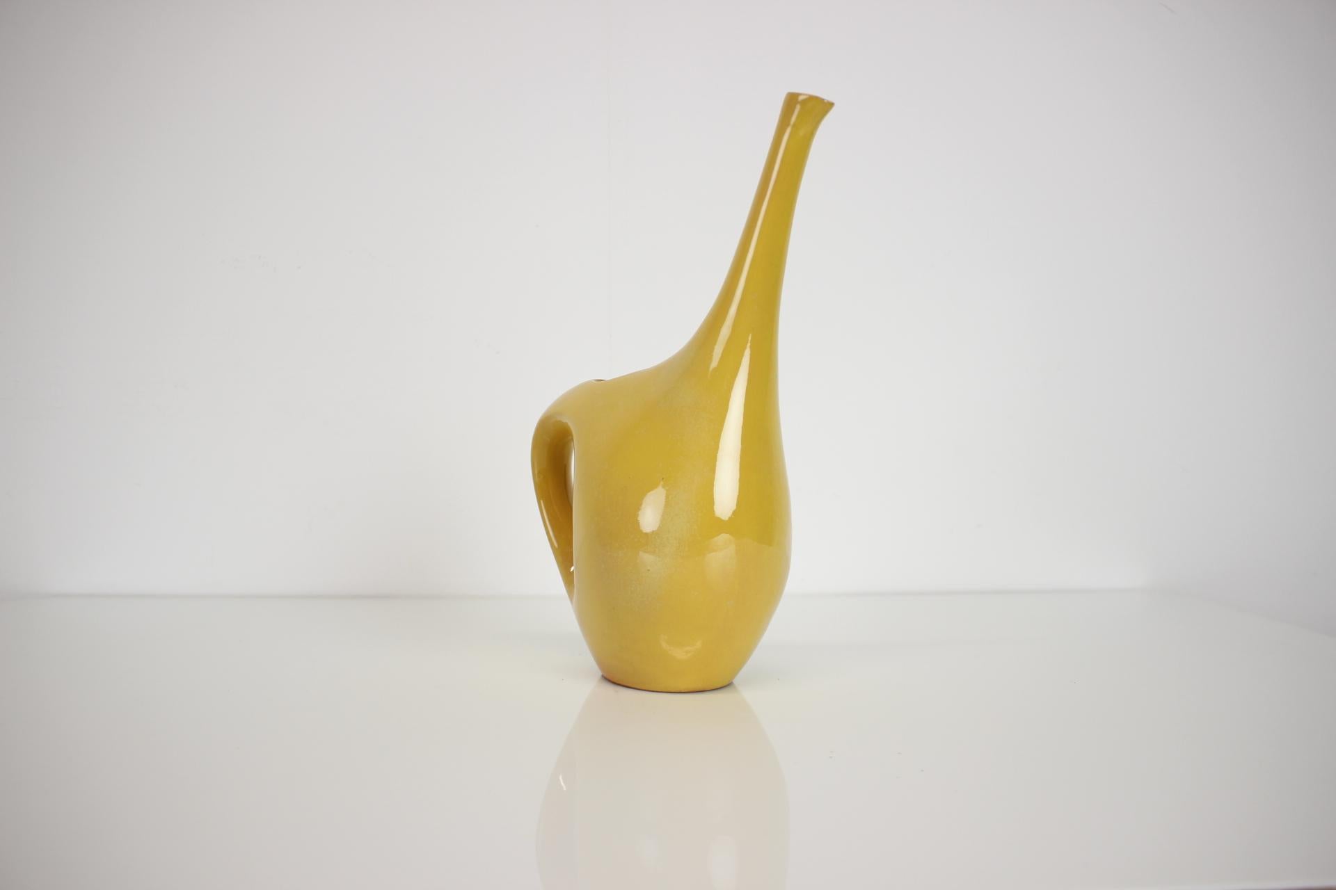 Mid-20th Century Watering Pot, 1950, Czechoslovakia For Sale