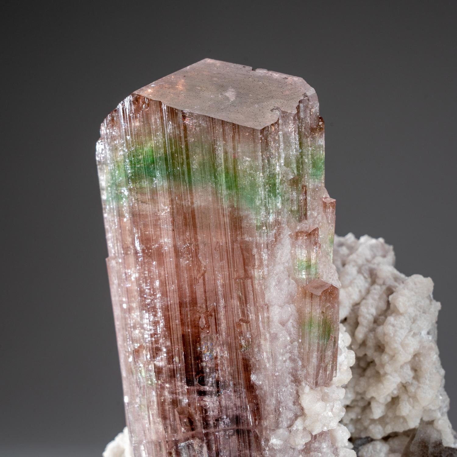 De Paprok, distrito de Kamdesh, provincia de Nuristán, Afganistán

Espectacular y lustrosa gran turmalina elbaita rosa con fina zona de terminación verde, también conocida como turmalina sandía, con cuarzo ahumado y cristales de albita blanca.