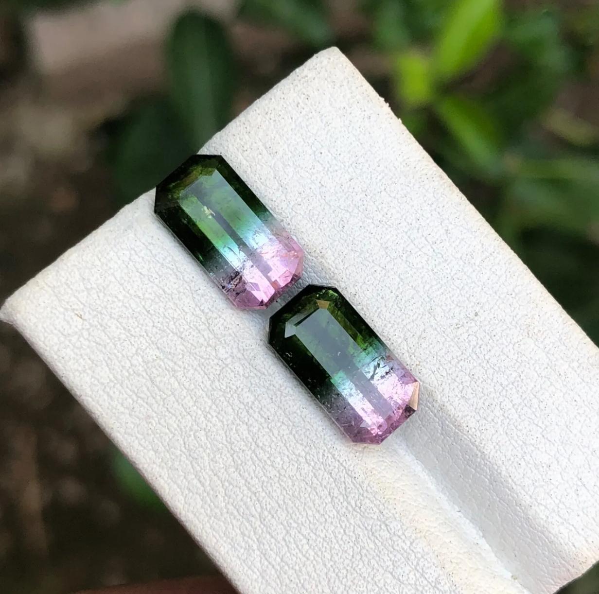 Watermelon Bicolor Darkish Green & Pink Tourmaline Gemstone Pair 7.05Ct-Earrings For Sale 1