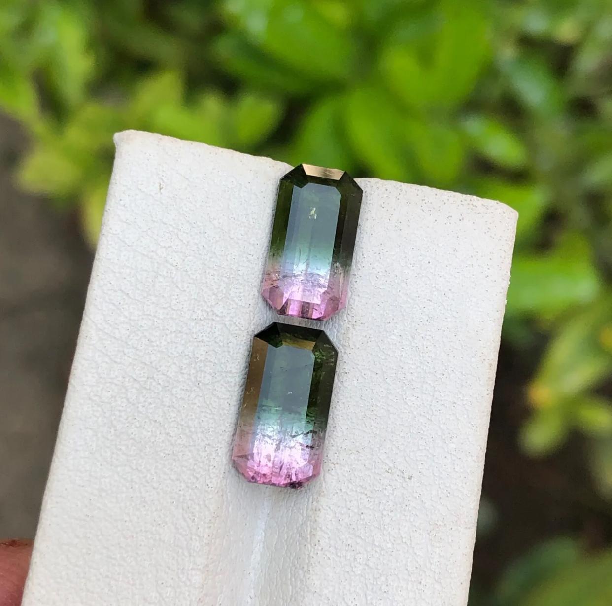 Watermelon Bicolor Darkish Green & Pink Tourmaline Gemstone Pair 7.05Ct-Earrings In New Condition For Sale In Peshawar, PK
