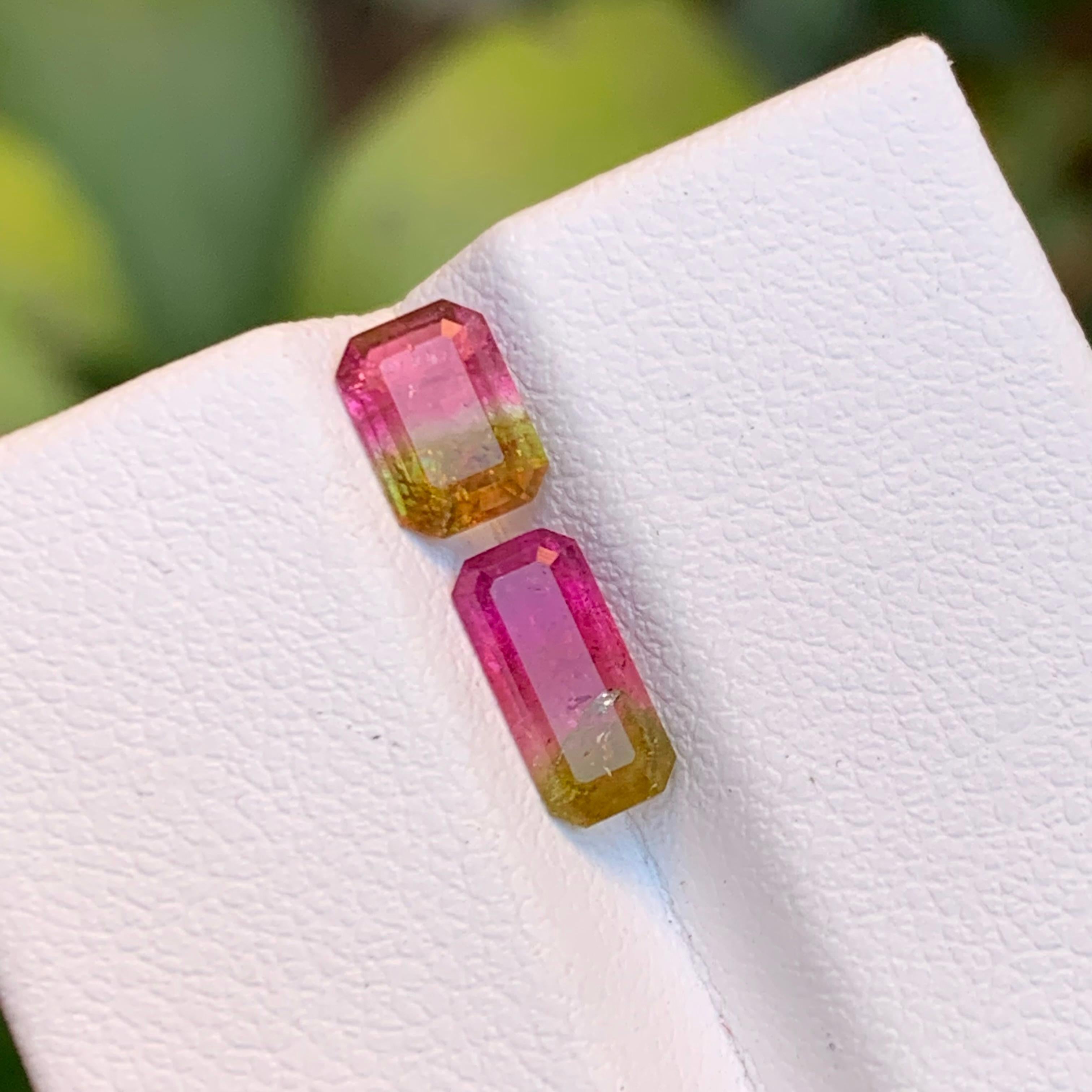 Watermelon Bicolor Green & Pink Natural Tourmaline (Elbaite) Gemstones, 1.55 Ct In New Condition In Peshawar, PK