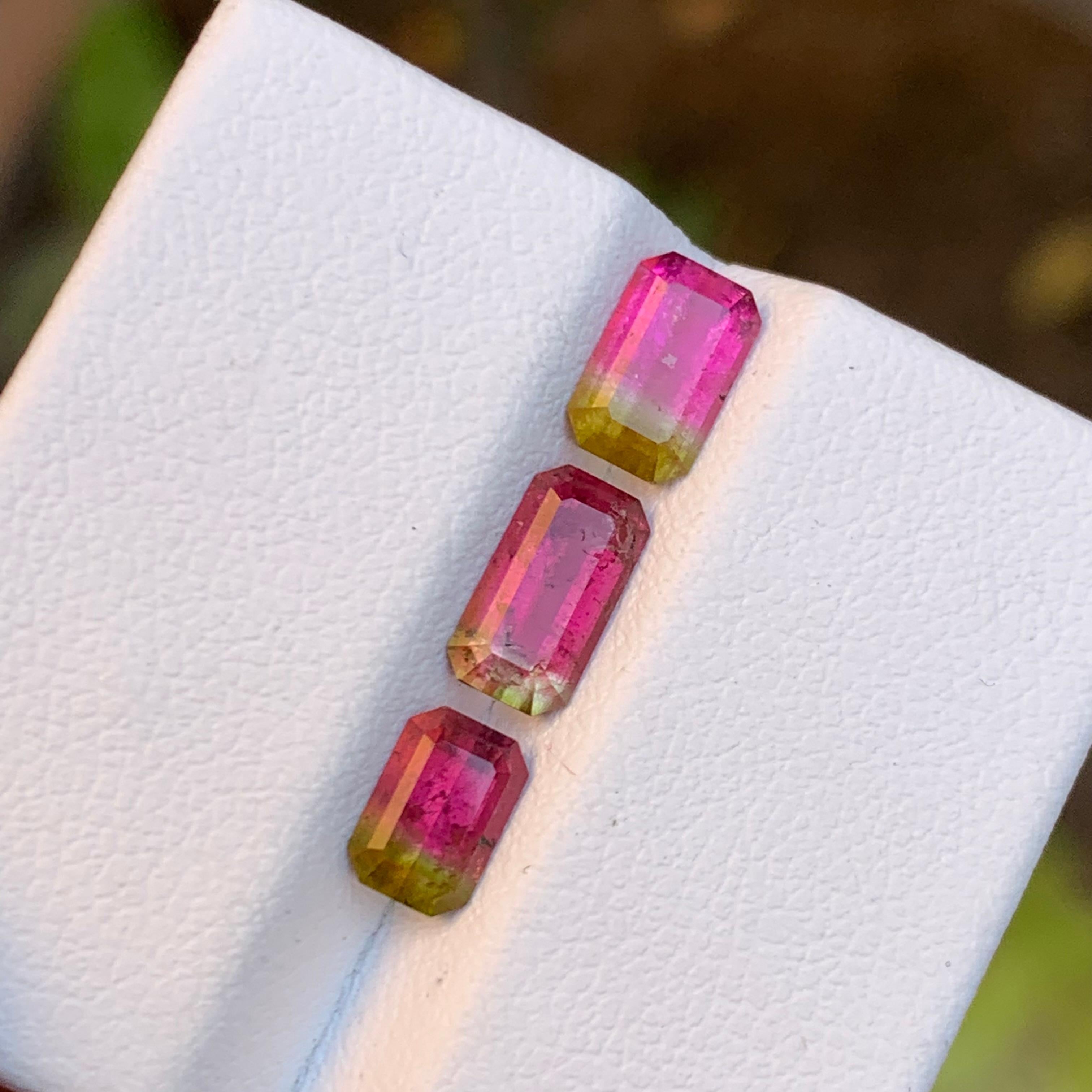 Watermelon Bicolor Green & Pink Natural Tourmaline (Elbaite) Gemstones, 2.60 Ct For Sale 1