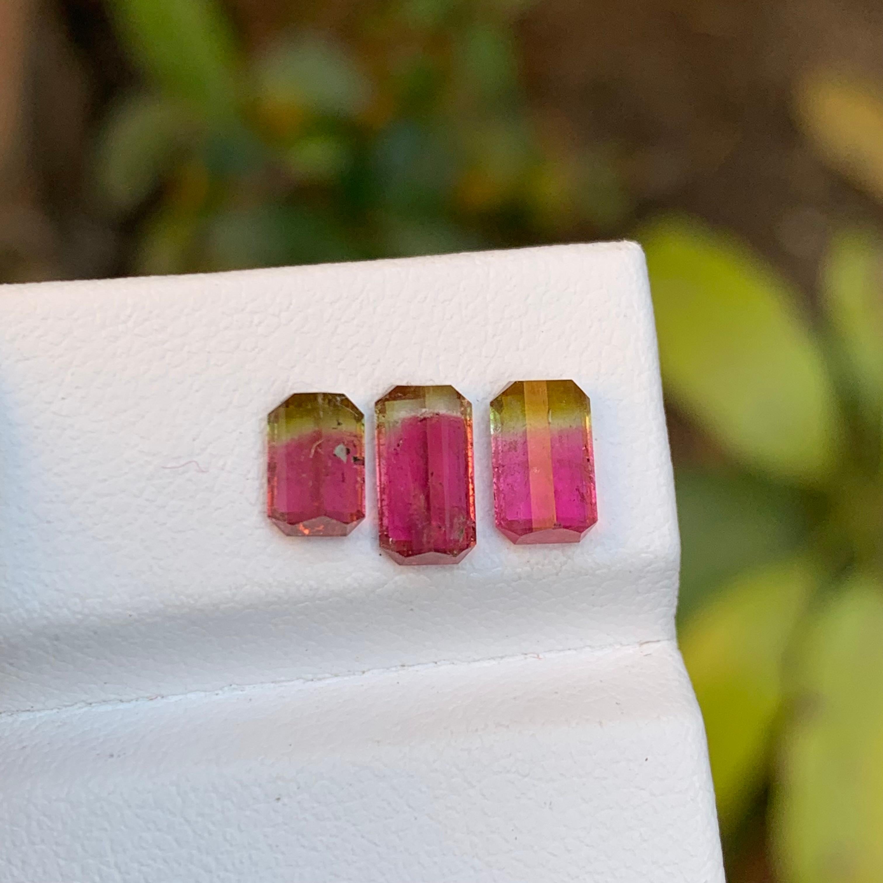 Watermelon Bicolor Green & Pink Natural Tourmaline (Elbaite) Gemstones, 2.60 Ct In New Condition For Sale In Peshawar, PK