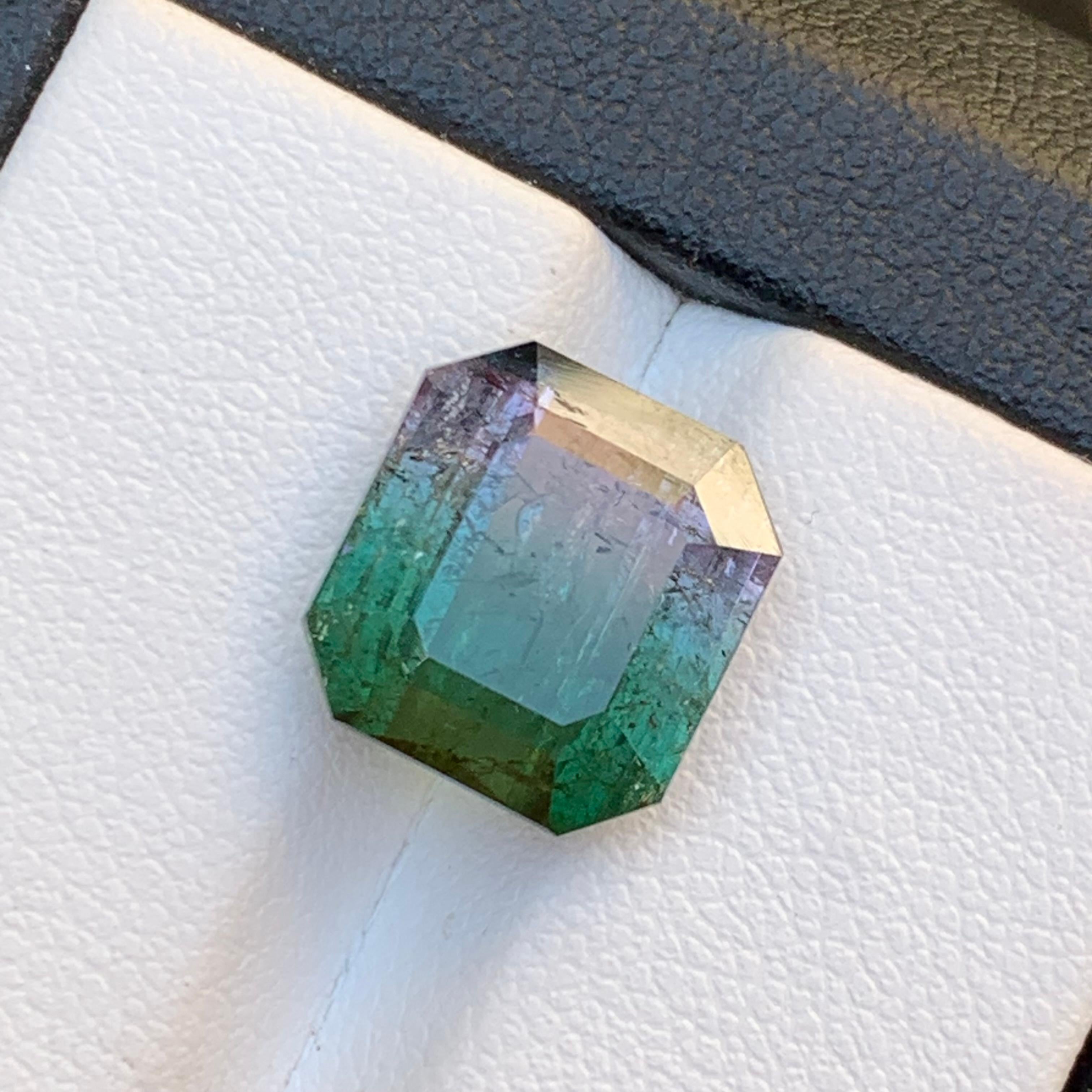 Tourmaline Naturelle Bicolore Pastèque pour Bague, Collier Pendentif, Bracelet ou tout autre bijou - Taille émeraude octogonale de Kunar Afghanistan !!!

💎 TYPE DE PIERRE PRÉCIEUSE : Tourmaline
⚖️ POIDS : 7,15 carats
🪚 SHAPE & CUT : Octogone