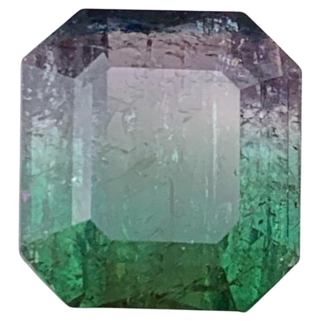 Watermelon Bicolor Natural Tourmaline Ring Loose Gemstone 7.15 Ct for Jewelry