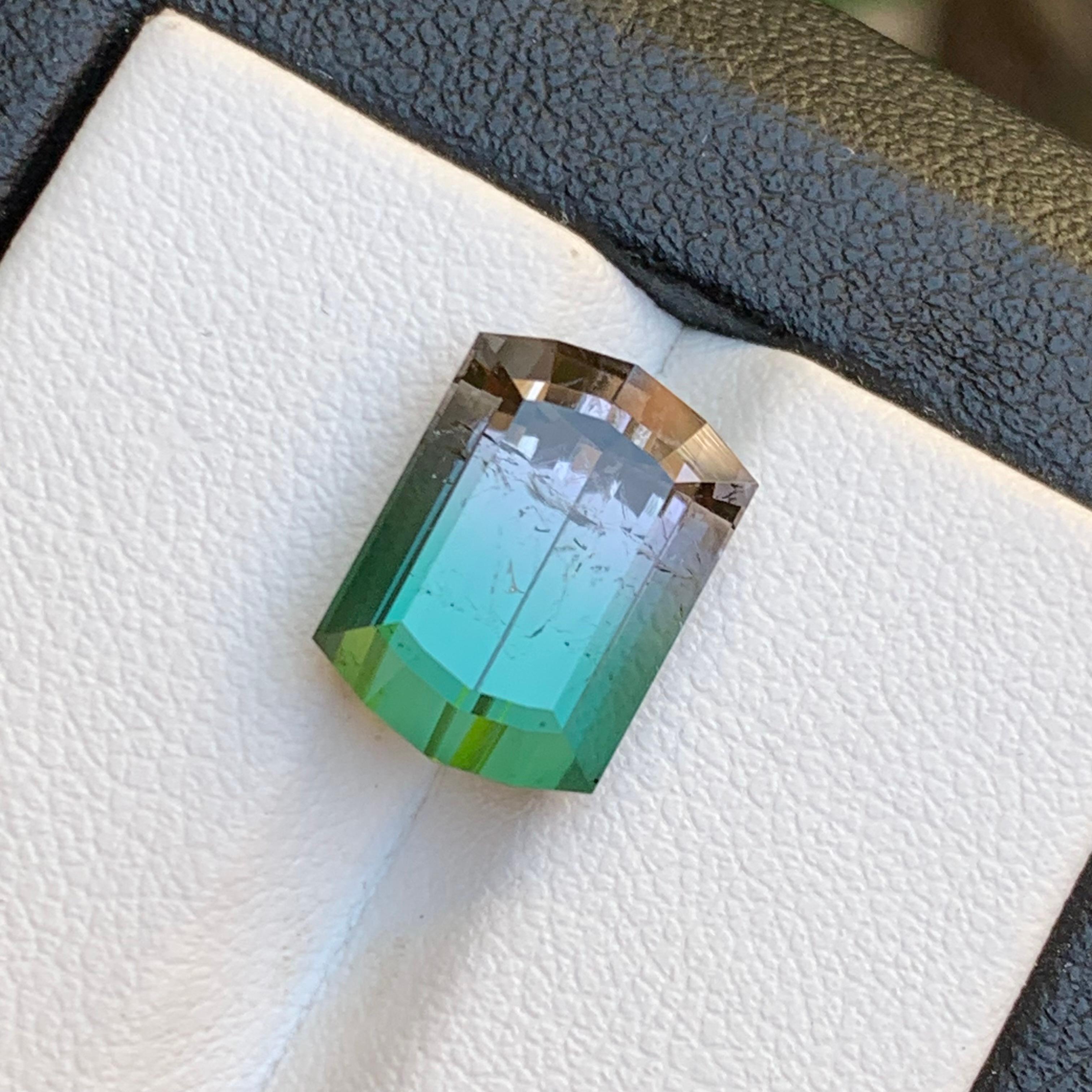 Watermelon Bicolor Natural Tourmaline Ring Loose Gemstone 7.35 Ct for Jewelry For Sale 6