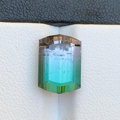 Watermelon Bicolor Natural Tourmaline Ring Loose Gemstone 7.35 Ct for Jewelry