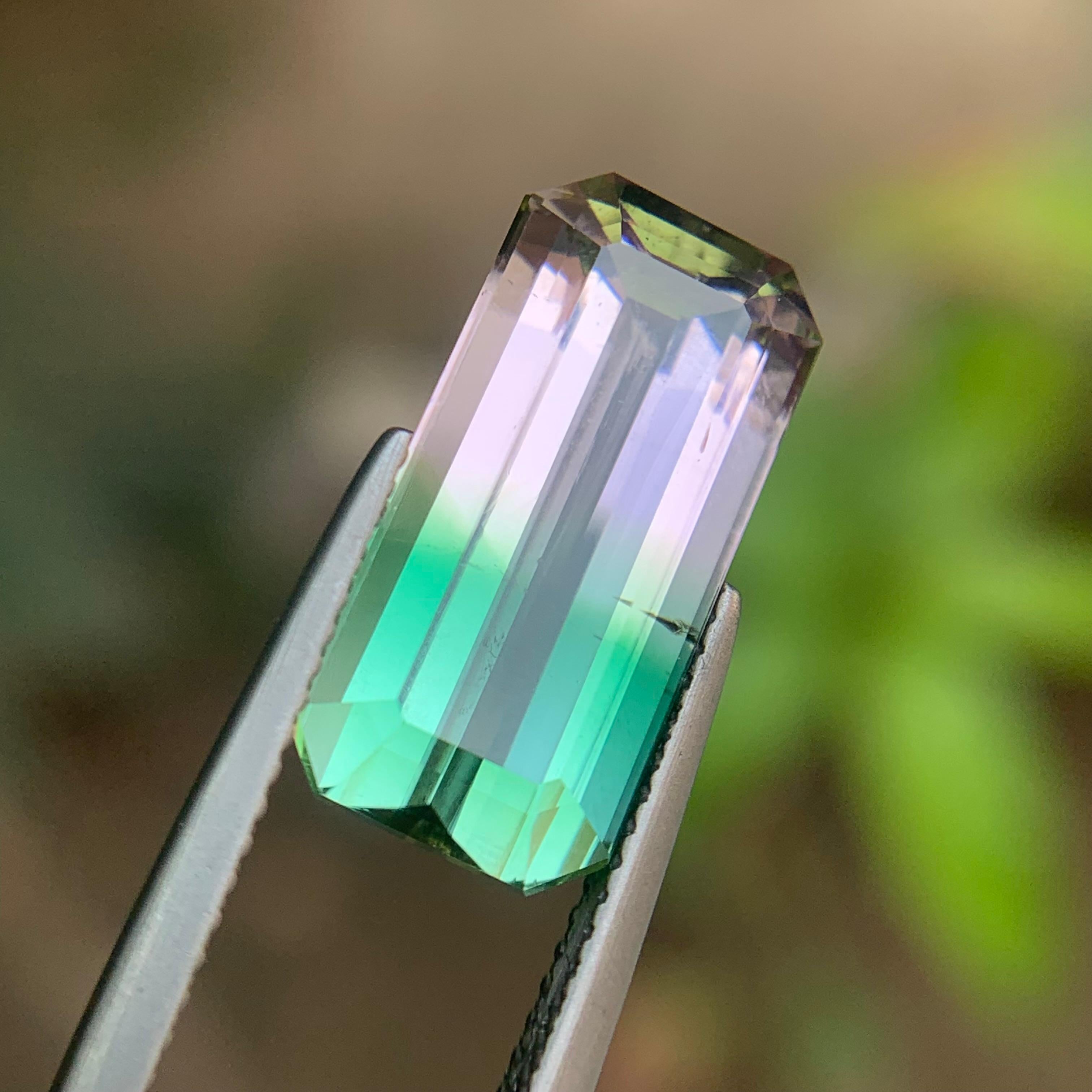 Bague tourmaline naturelle melon bicolore taille émeraude de 8.15 carats en vente 1