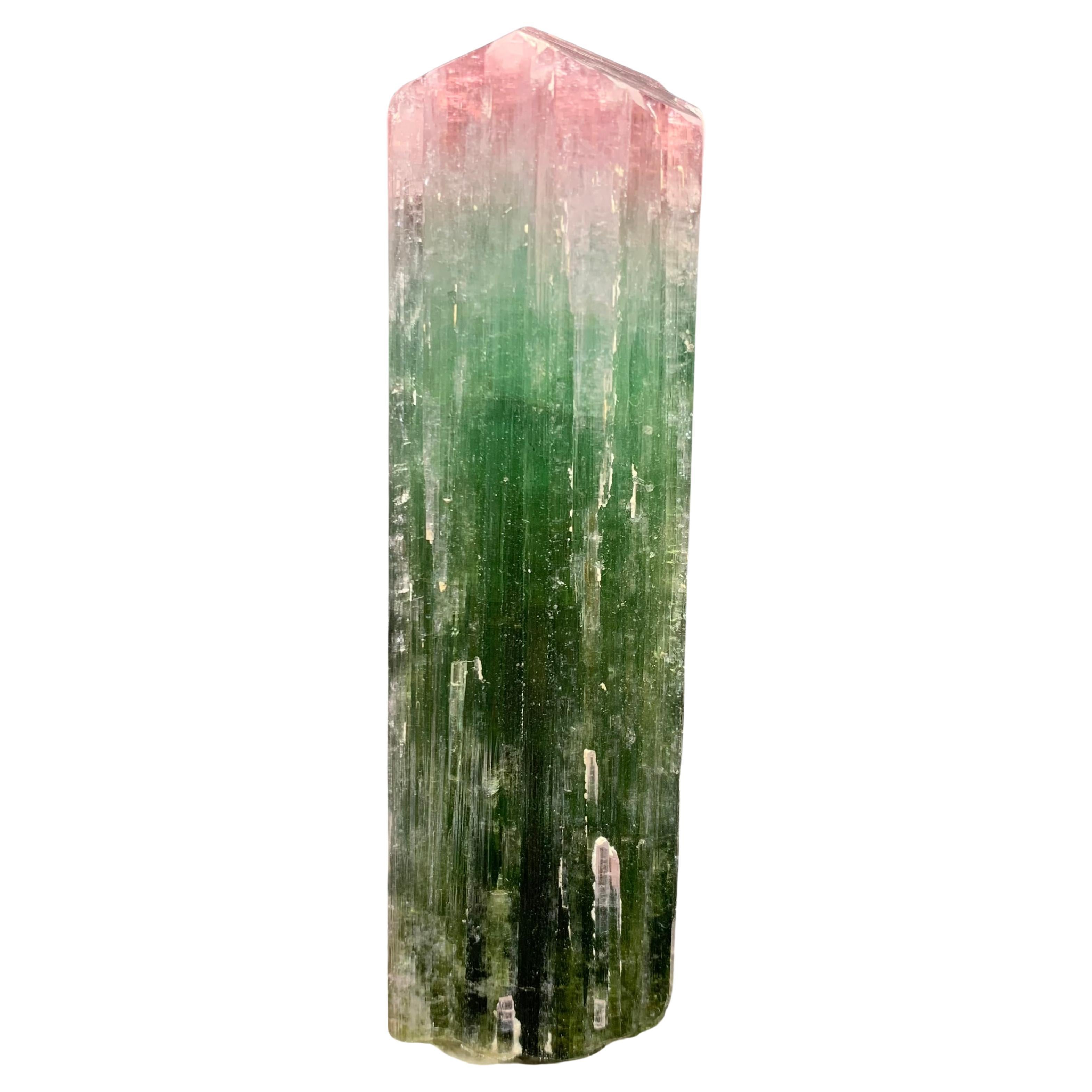 Watermelon Bicolor Natural Tourmaline Terminated Crystal Specimen 246.32 Grams