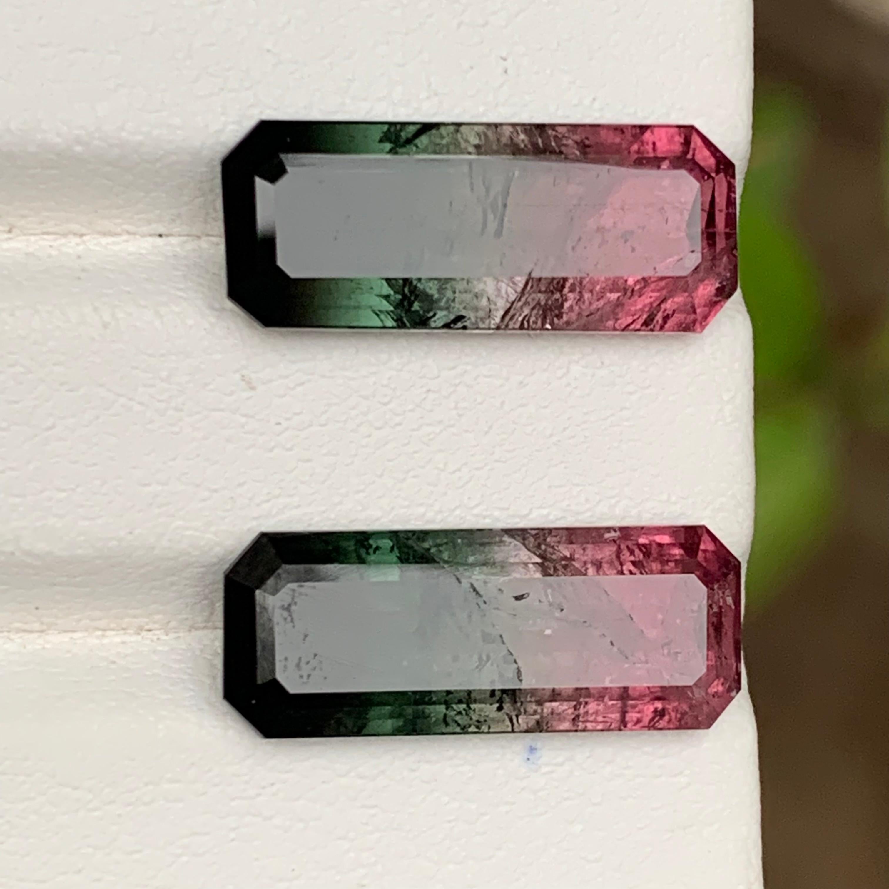 Watermelon Rosa Schwarz Bicolor Natürlicher Turmalin Lose Edelsteine Paar 17.50 Karat im Angebot 4