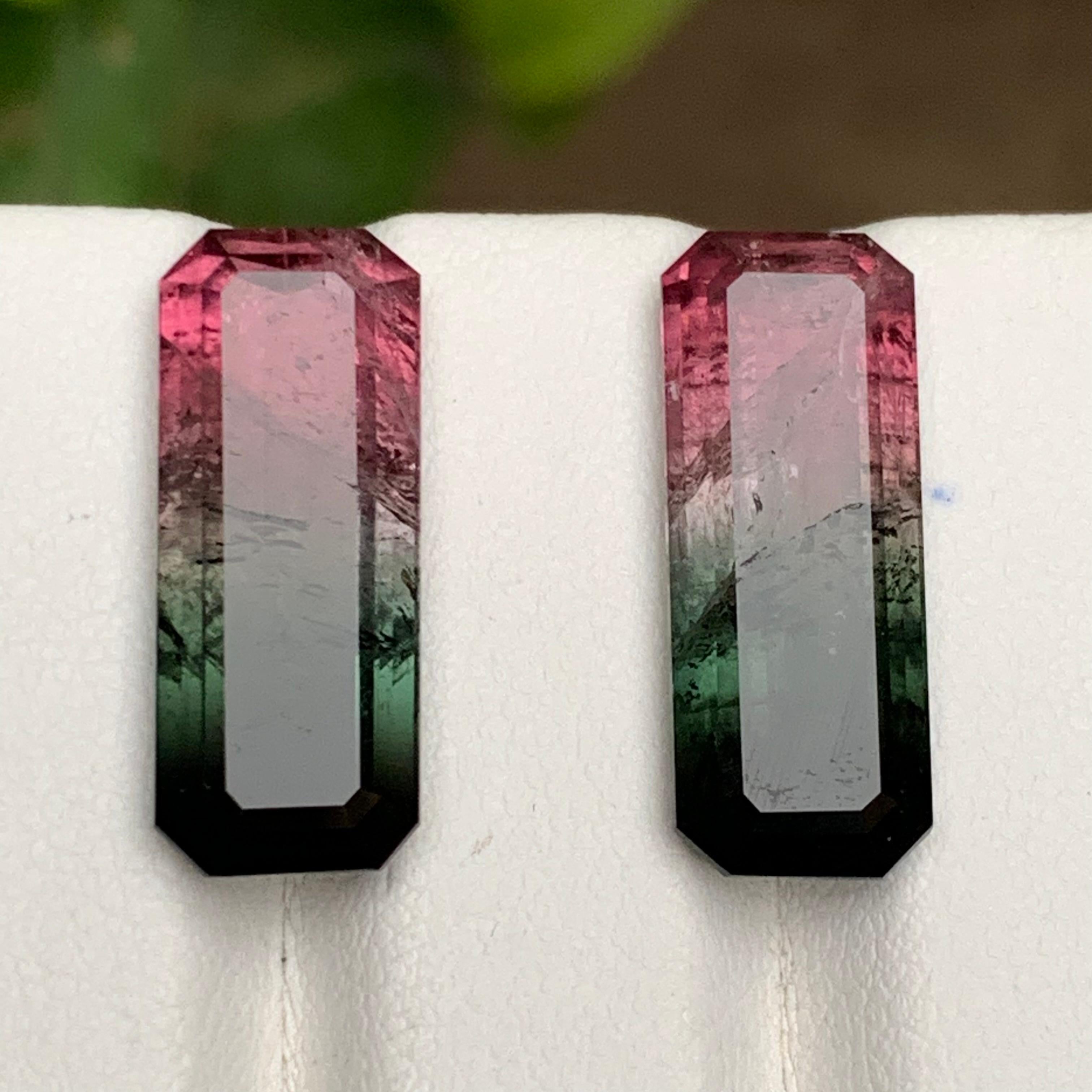 Watermelon Rosa Schwarz Bicolor Natürlicher Turmalin Lose Edelsteine Paar 17.50 Karat im Angebot 5