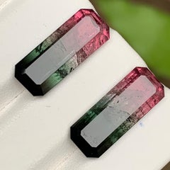 Watermelon Pink Black Bicolor Natural Tourmaline Loose Gemstones Pair 17.50 Ct