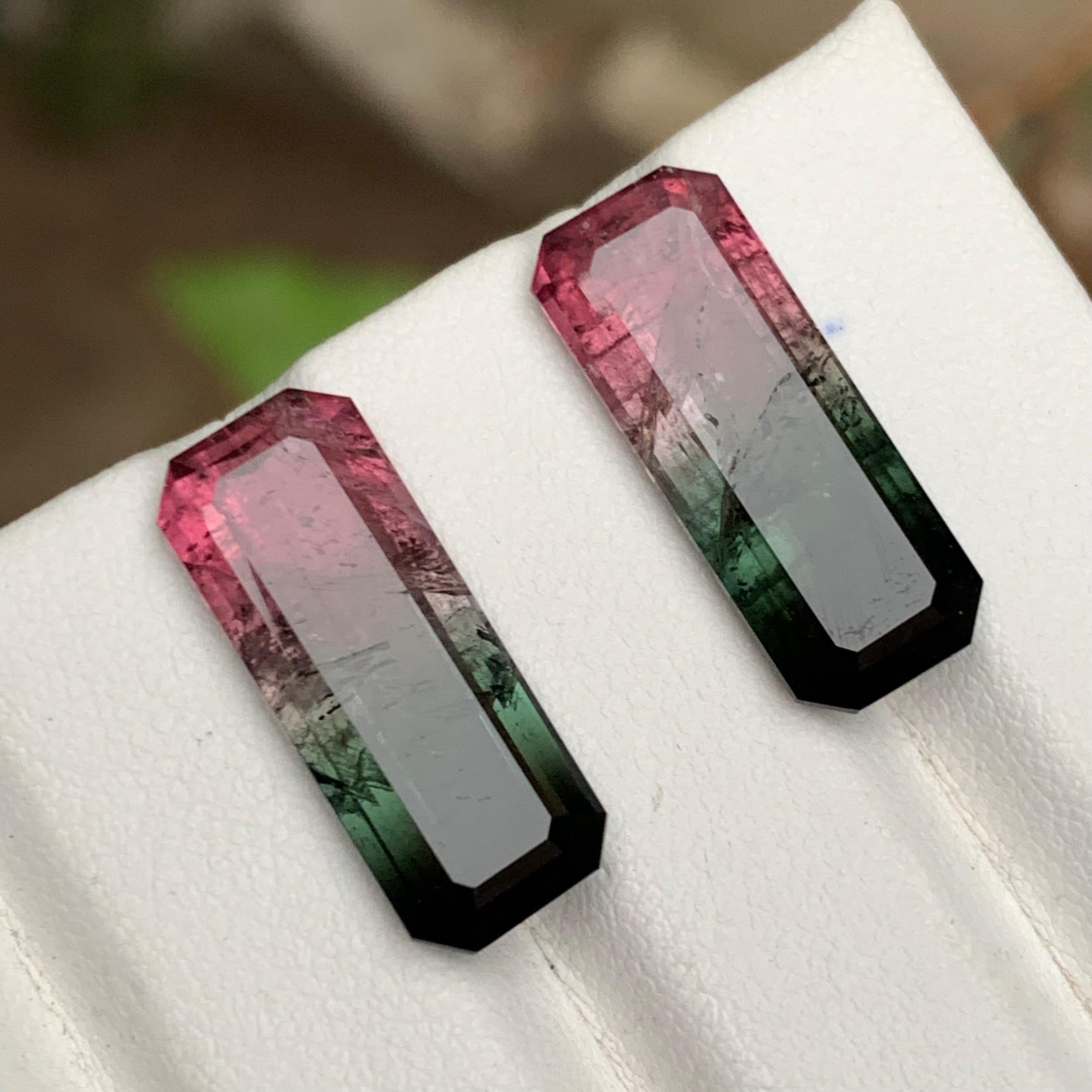 Watermelon Rosa Schwarz Bicolor Natürlicher Turmalin Lose Edelsteine Paar 17.50 Karat (Zeitgenössisch) im Angebot