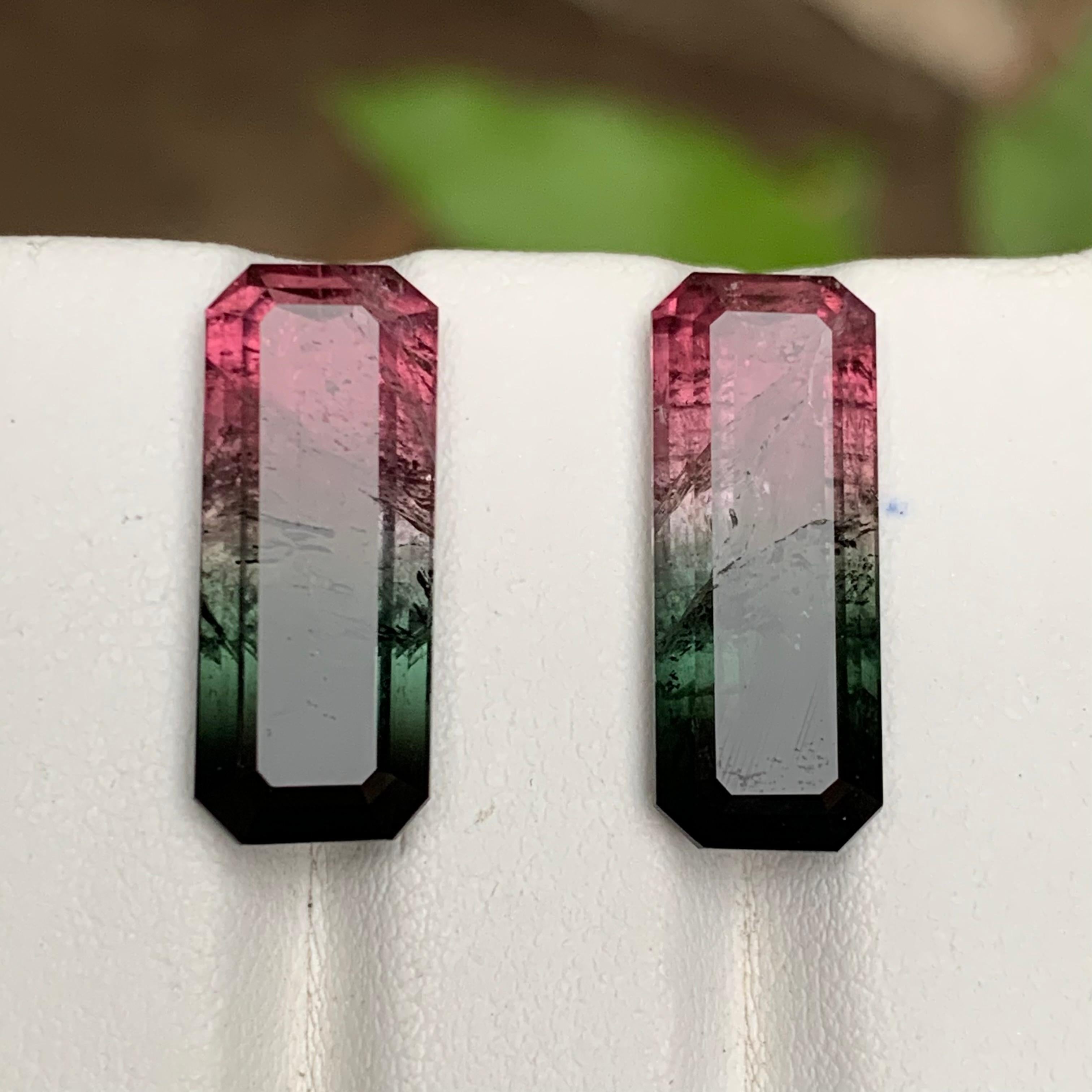 Watermelon Rosa Schwarz Bicolor Natürlicher Turmalin Lose Edelsteine Paar 17.50 Karat (Smaragdschliff) im Angebot