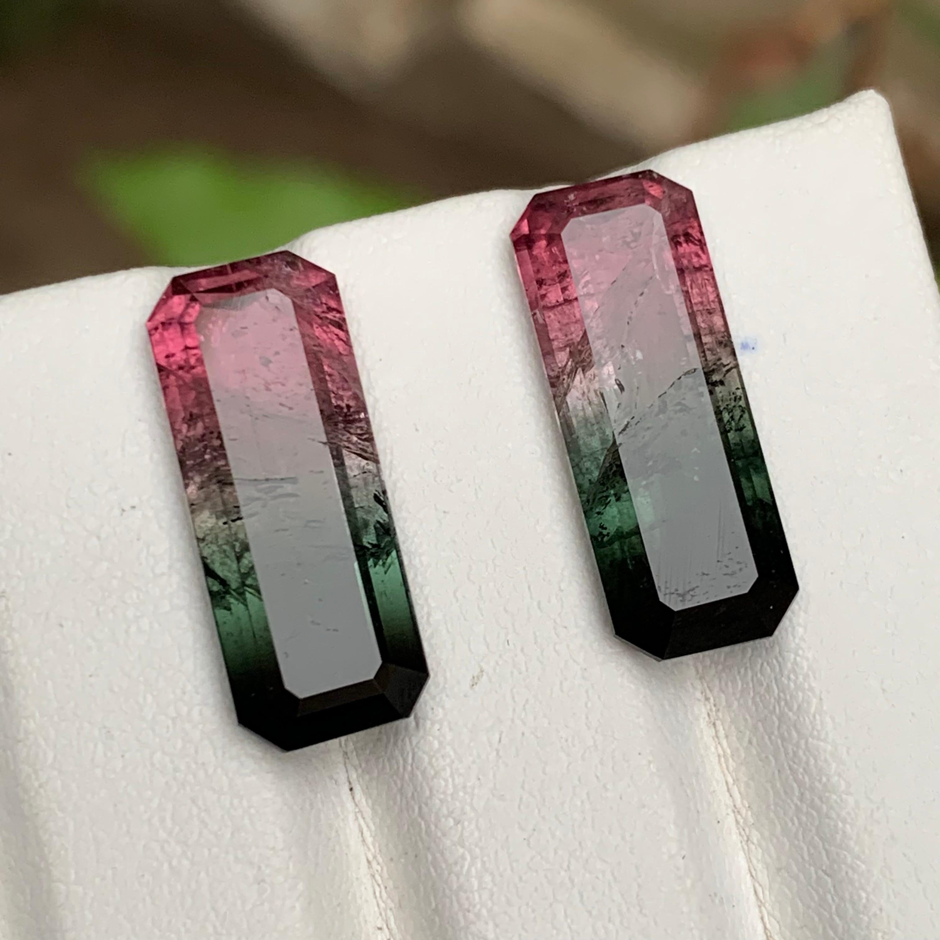 Watermelon Rosa Schwarz Bicolor Natürlicher Turmalin Lose Edelsteine Paar 17.50 Karat für Damen oder Herren im Angebot