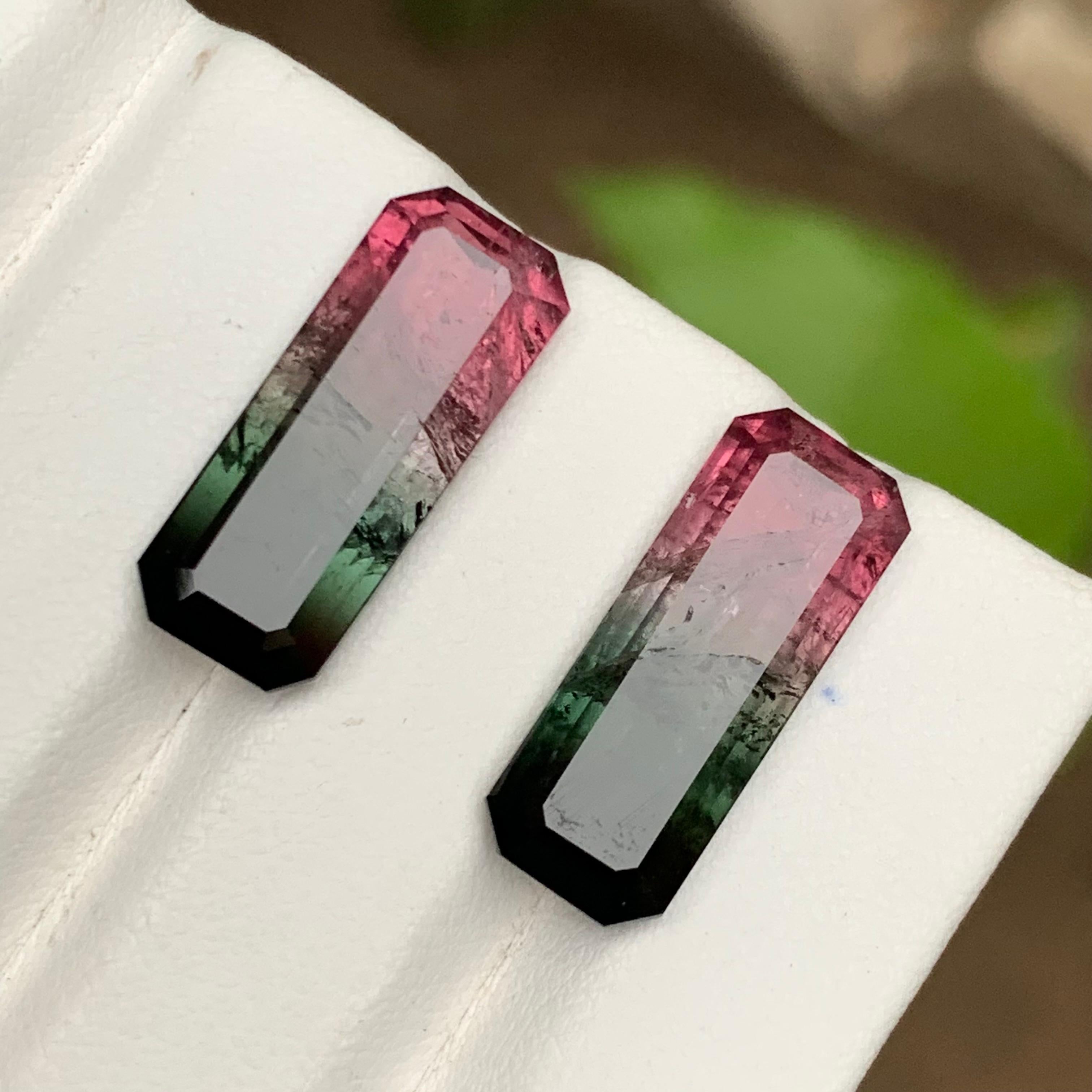Watermelon Rosa Schwarz Bicolor Natürlicher Turmalin Lose Edelsteine Paar 17.50 Karat im Angebot 1