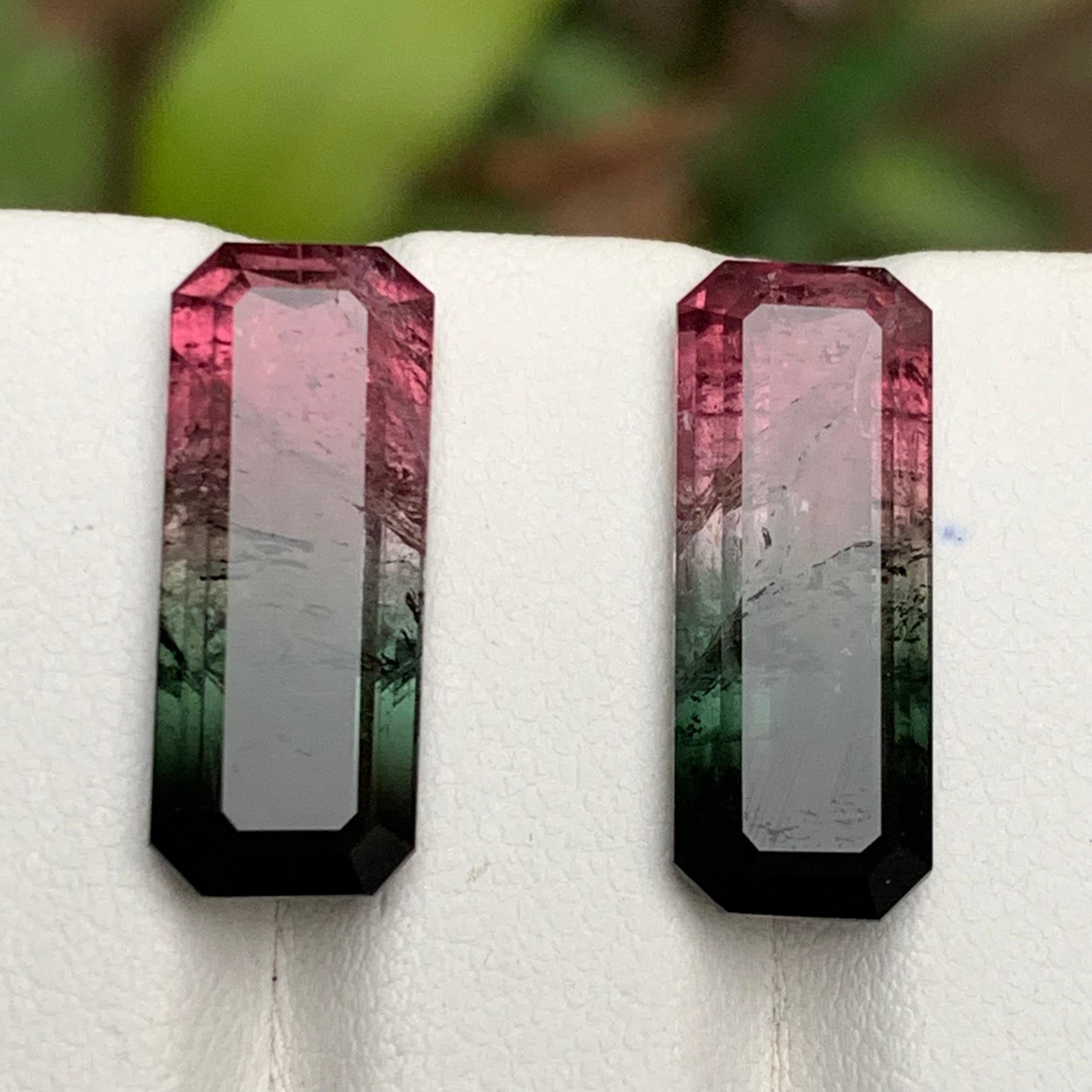 Watermelon Rosa Schwarz Bicolor Natürlicher Turmalin Lose Edelsteine Paar 17.50 Karat im Angebot 2