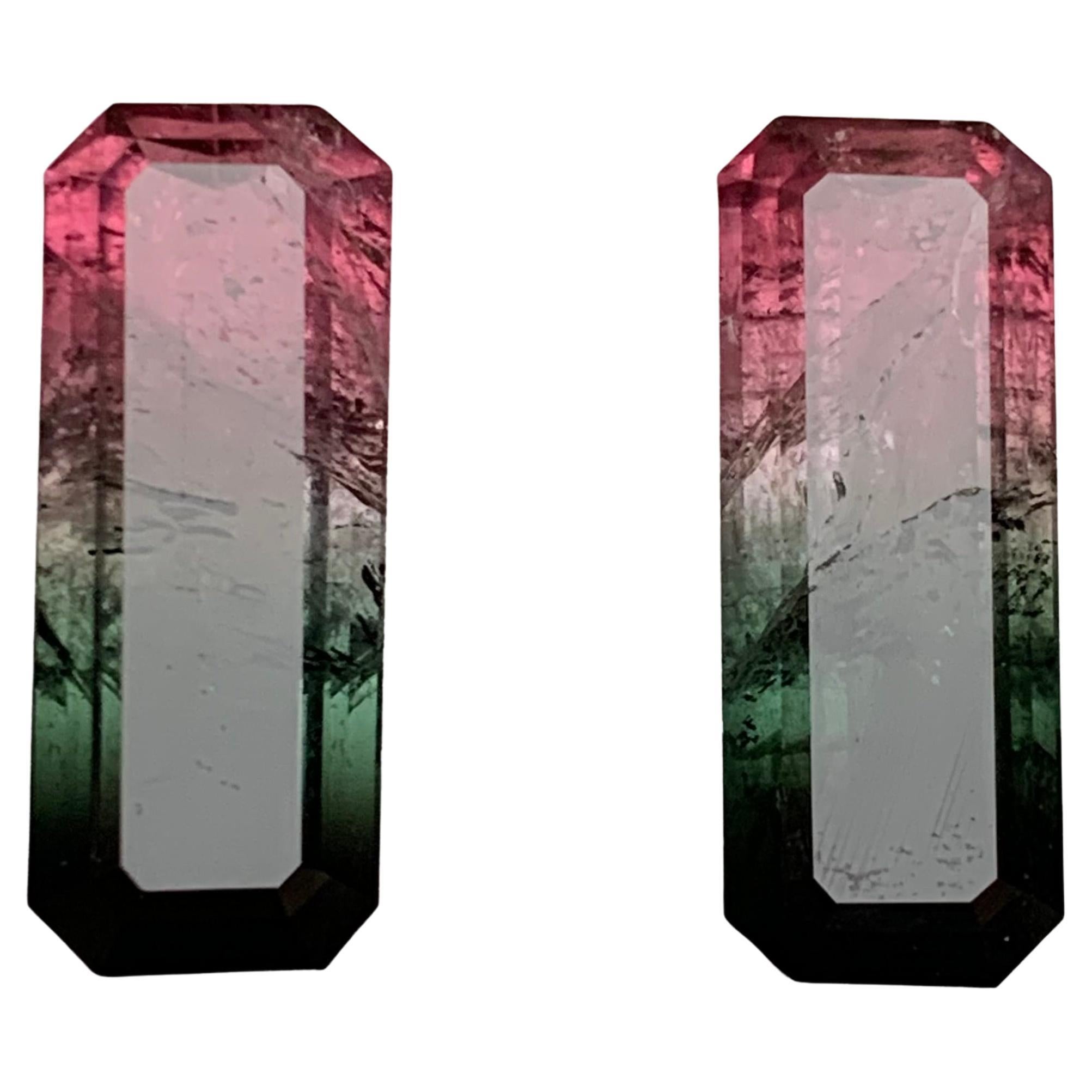 Watermelon Rosa Schwarz Bicolor Natürlicher Turmalin Lose Edelsteine Paar 17.50 Karat