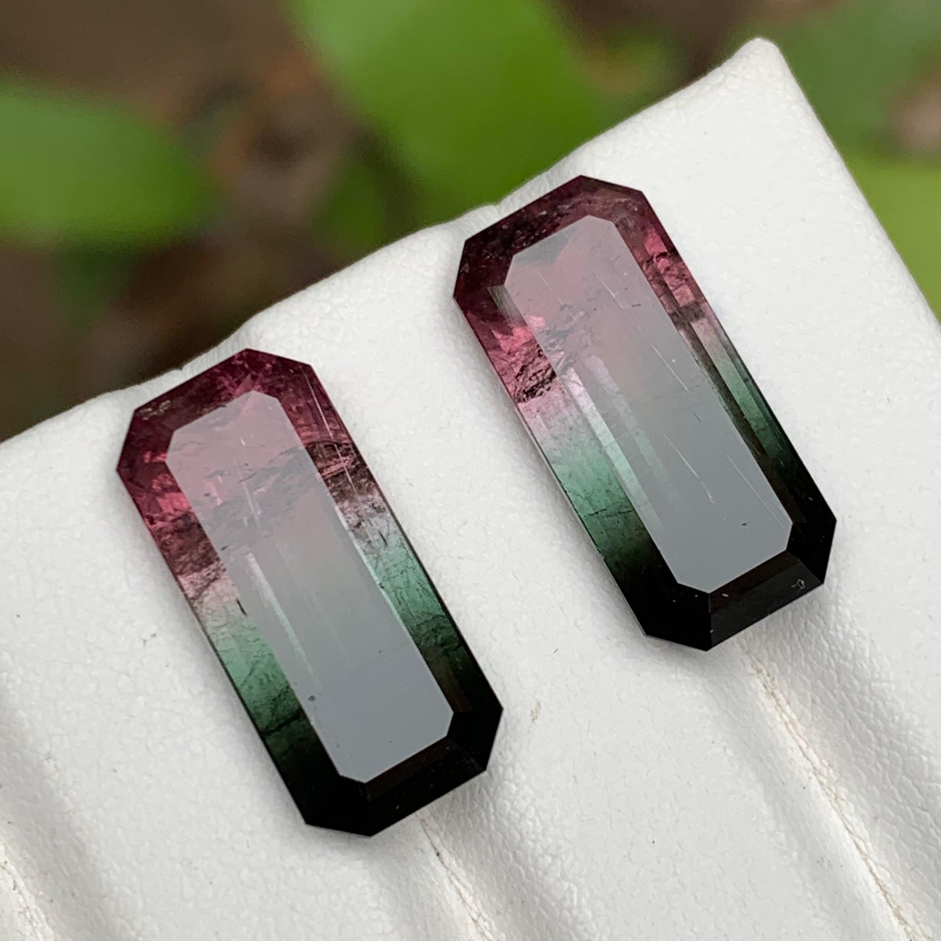 Paire de tourmalines naturelles bicolores rose melon et noires, 19.05 carats en vente 4