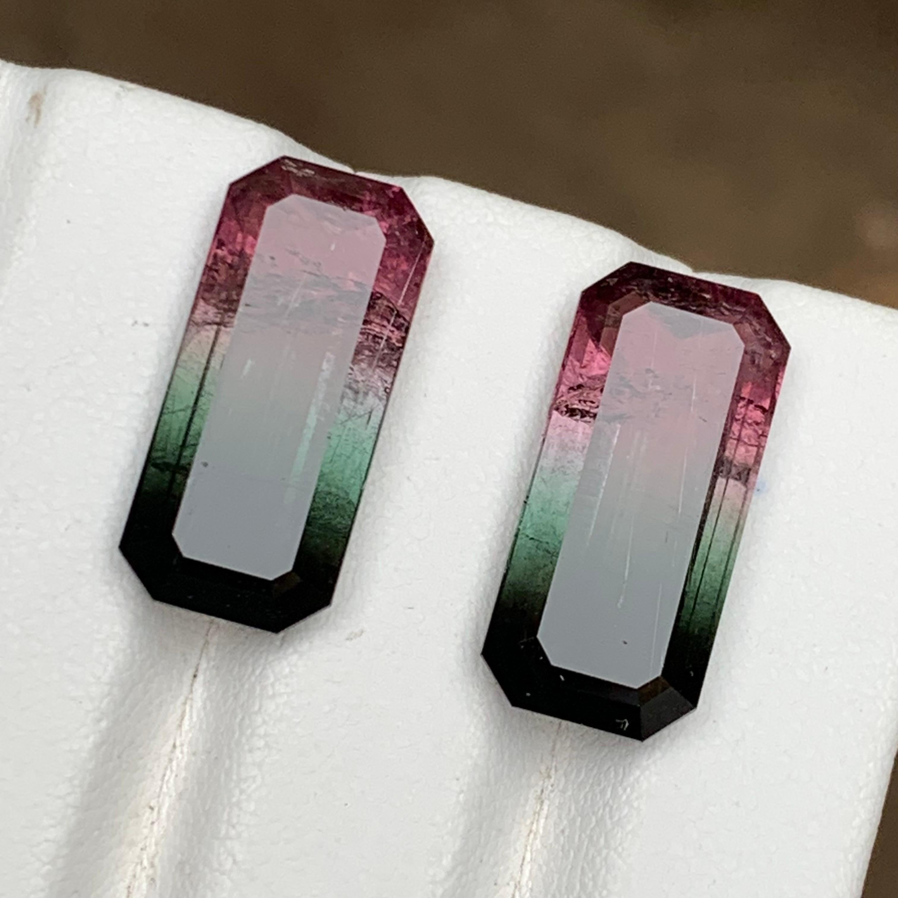 Paire de tourmalines naturelles bicolores rose melon et noires, 19.05 carats en vente 5