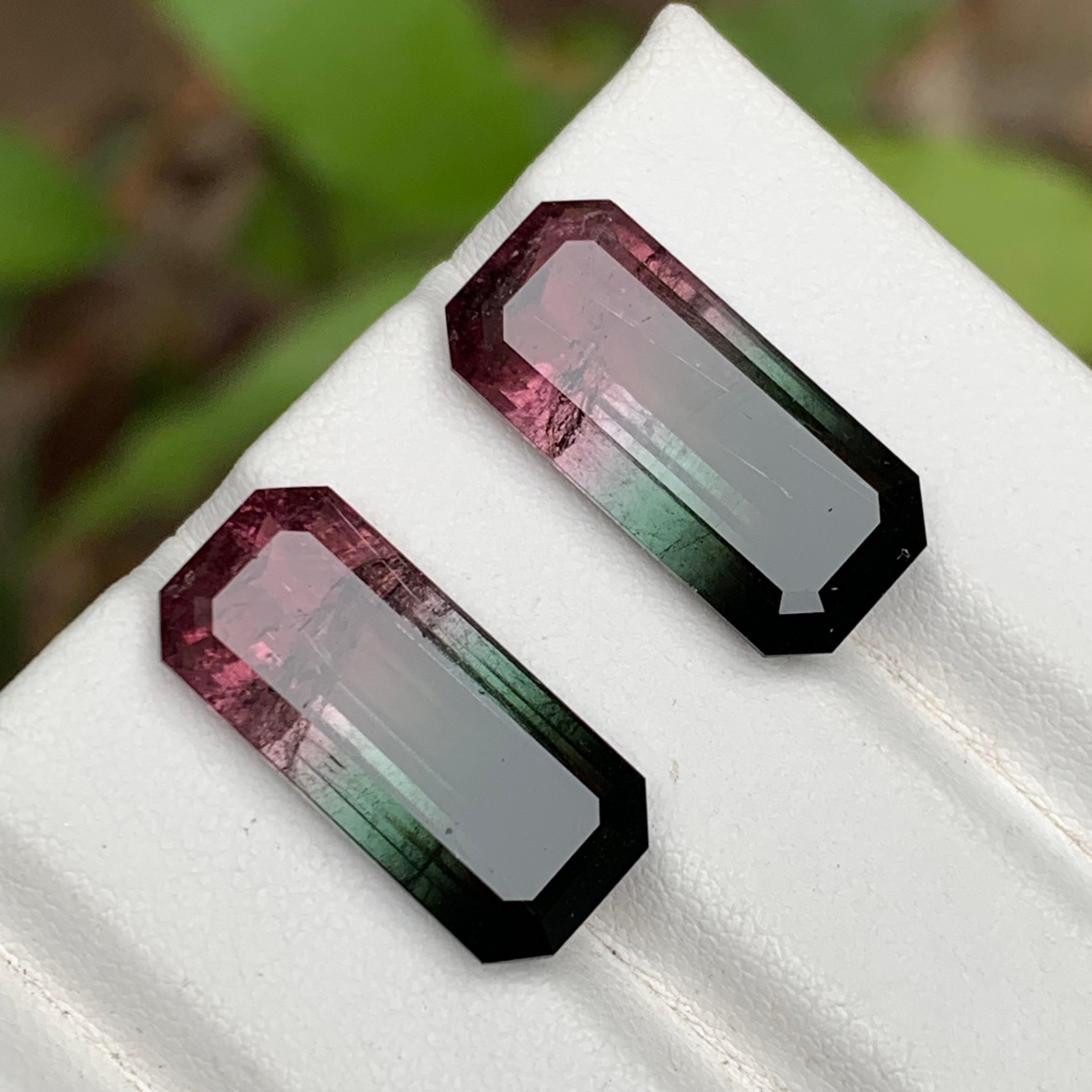 Paire de tourmalines naturelles bicolores rose melon et noires, 19.05 carats en vente 6