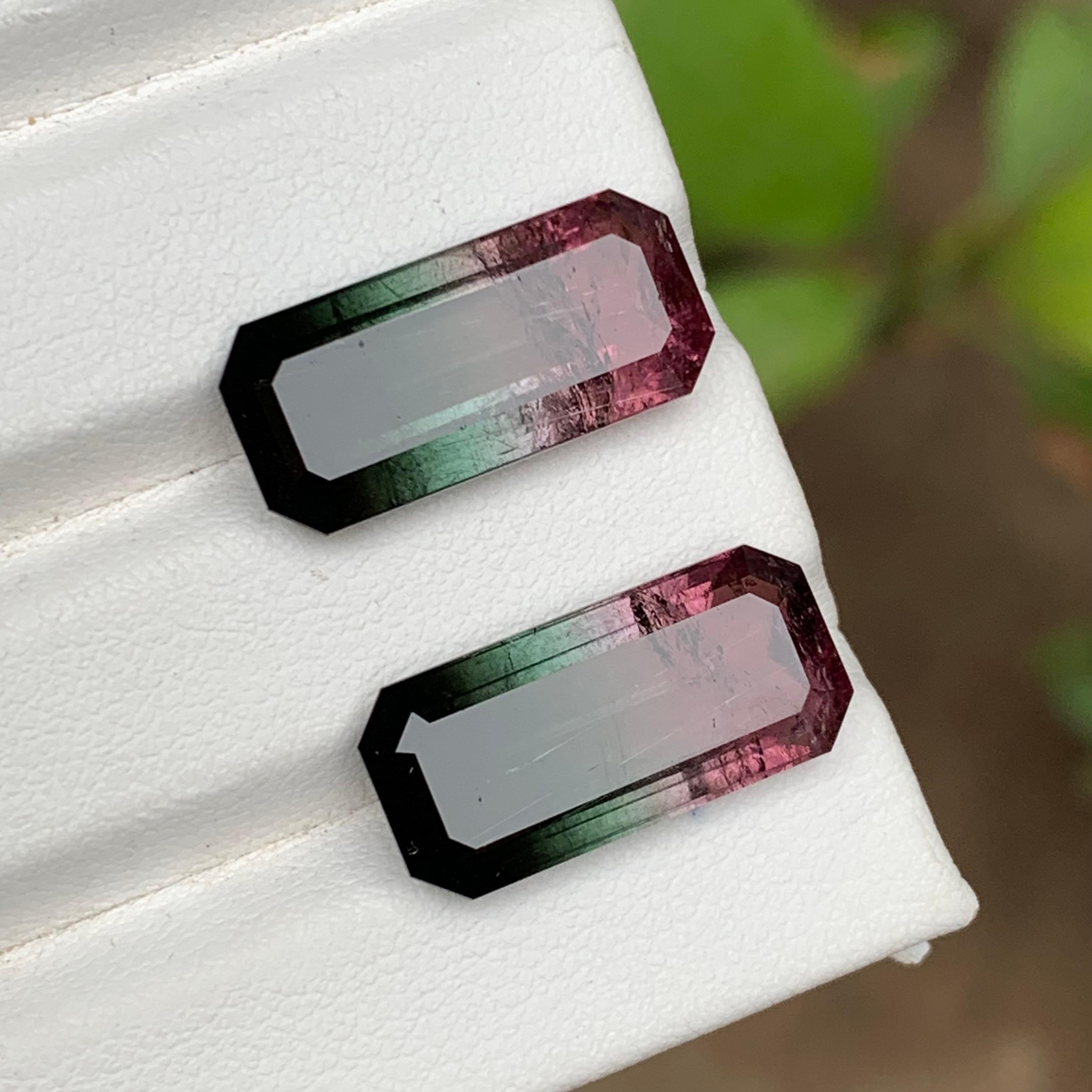 Paire de tourmalines naturelles bicolores rose melon et noires, 19.05 carats en vente 7
