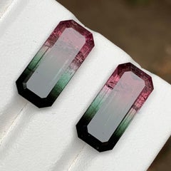 Watermelon Pink Black Bicolor Natural Tourmaline Loose Gemstones Pair 19.05 Ct