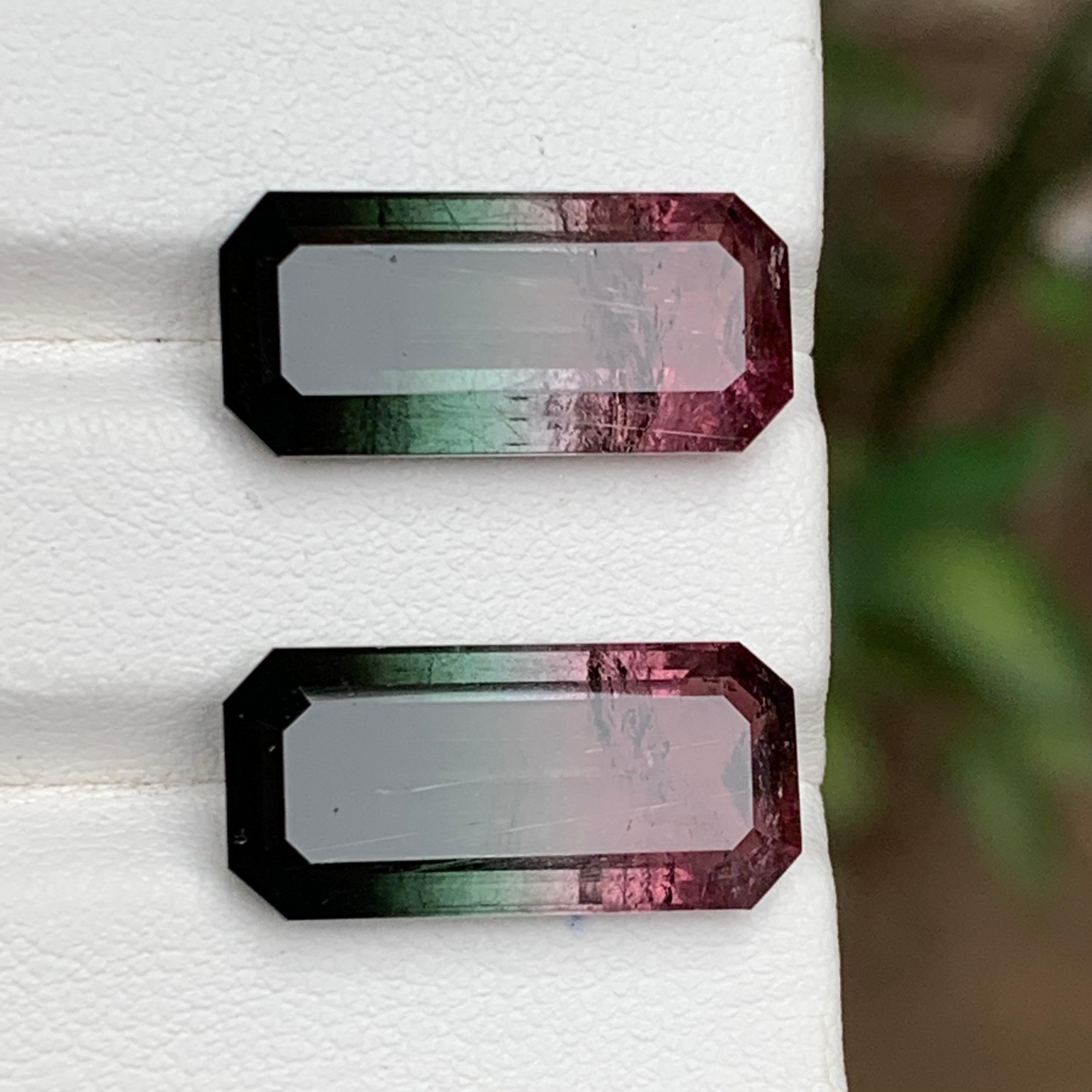 Contemporain Paire de tourmalines naturelles bicolores rose melon et noires, 19.05 carats en vente