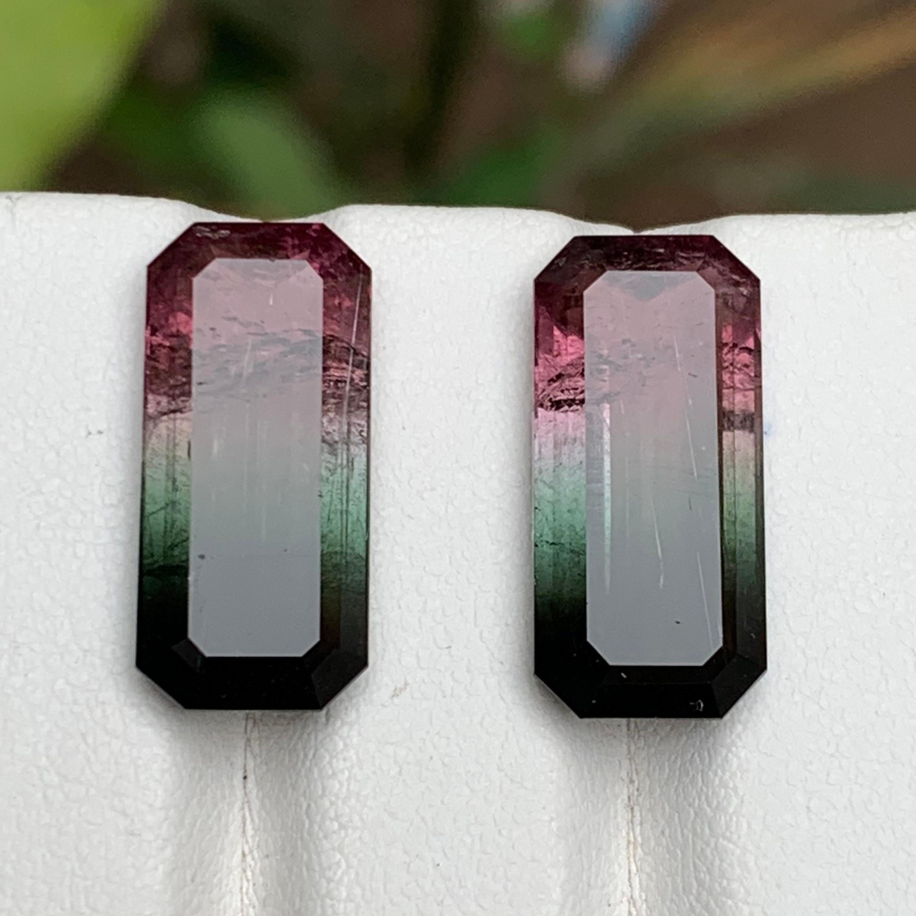 Taille émeraude Paire de tourmalines naturelles bicolores rose melon et noires, 19.05 carats en vente
