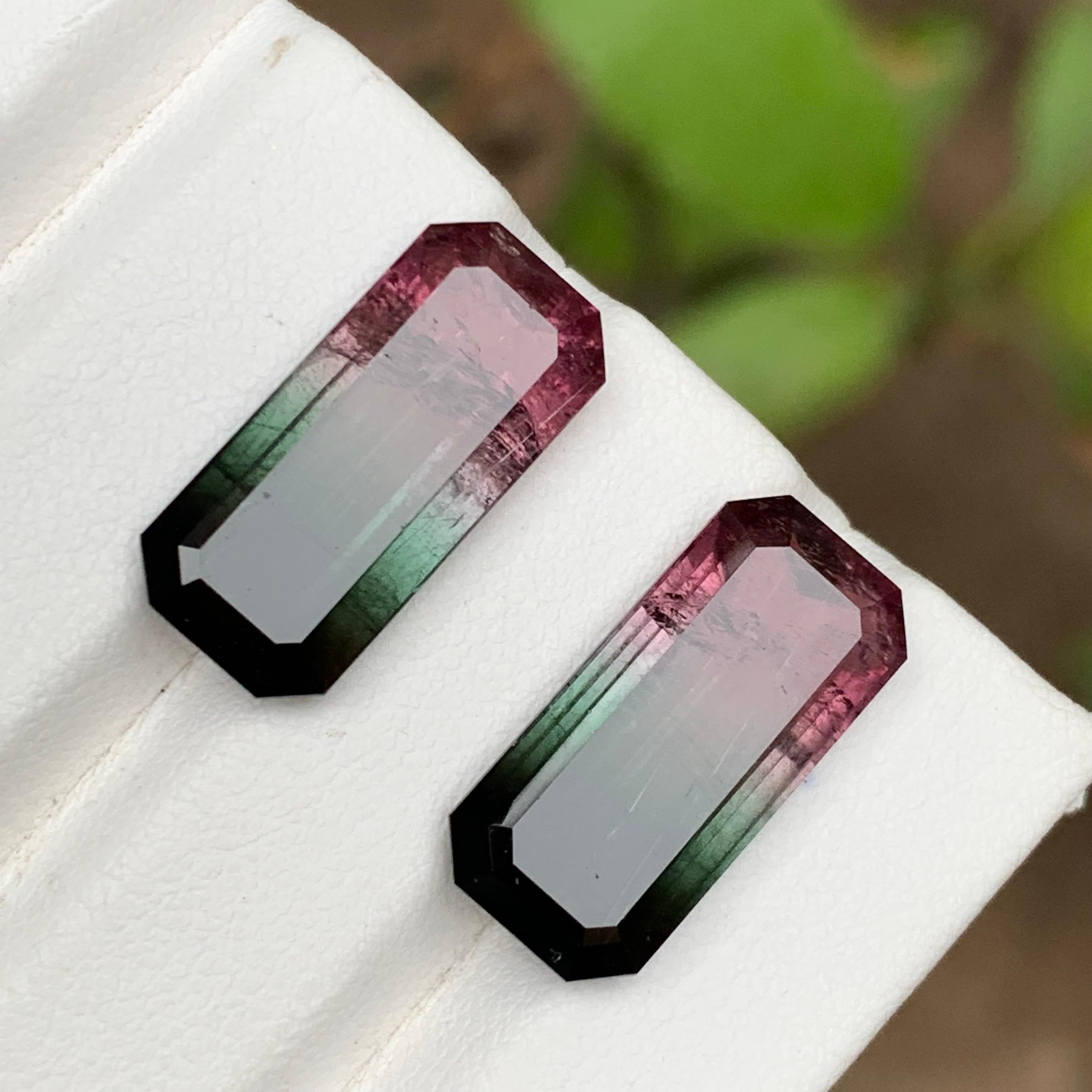 Paire de tourmalines naturelles bicolores rose melon et noires, 19.05 carats Neuf - En vente à Peshawar, PK
