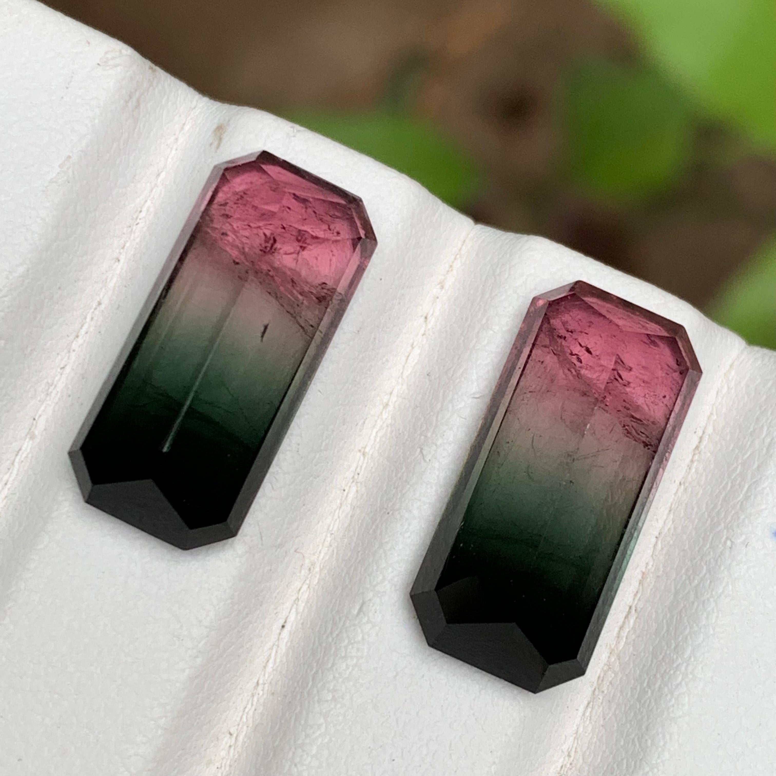 Paire de tourmalines naturelles bicolores rose melon et noires, 19.05 carats Unisexe en vente