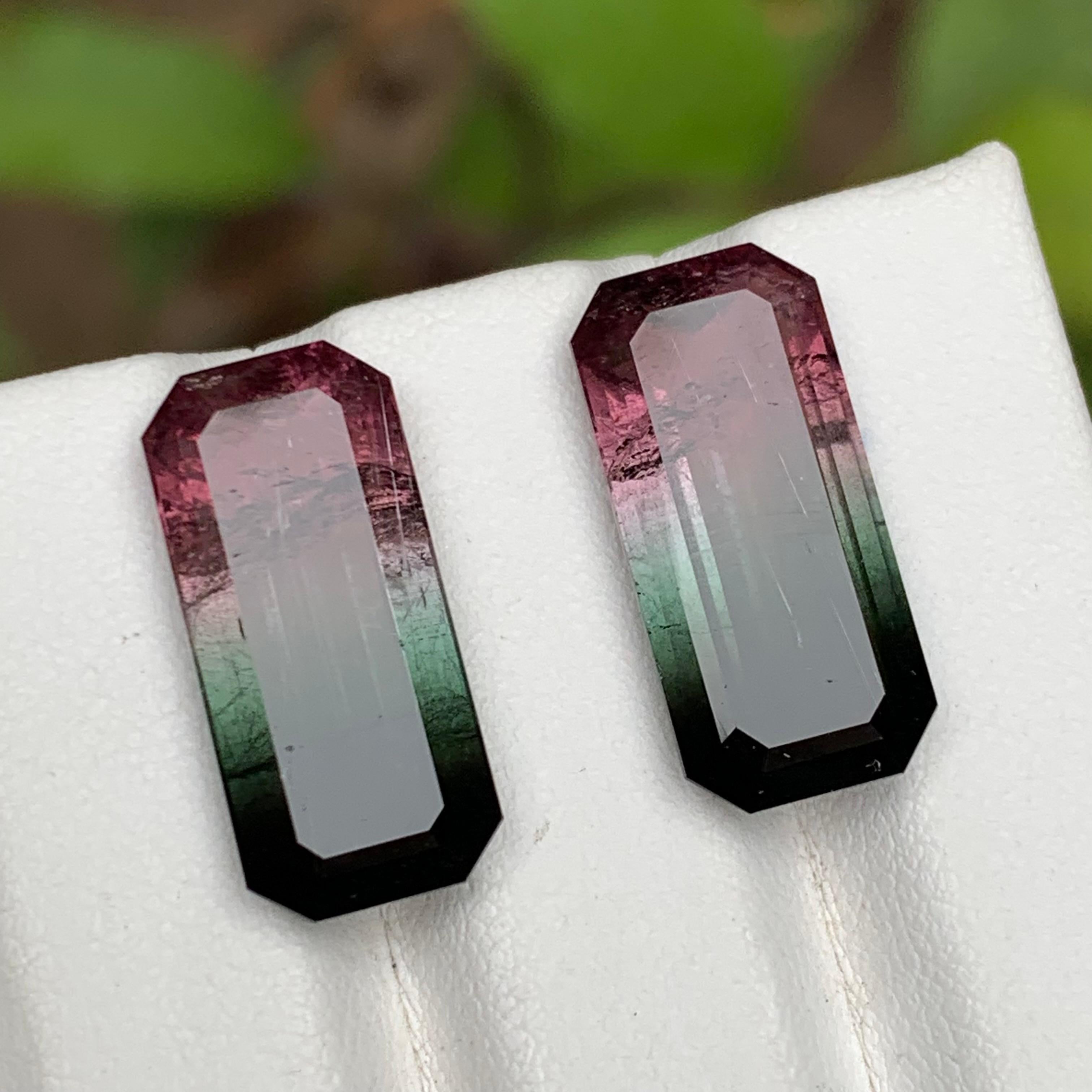 Paire de tourmalines naturelles bicolores rose melon et noires, 19.05 carats en vente 1