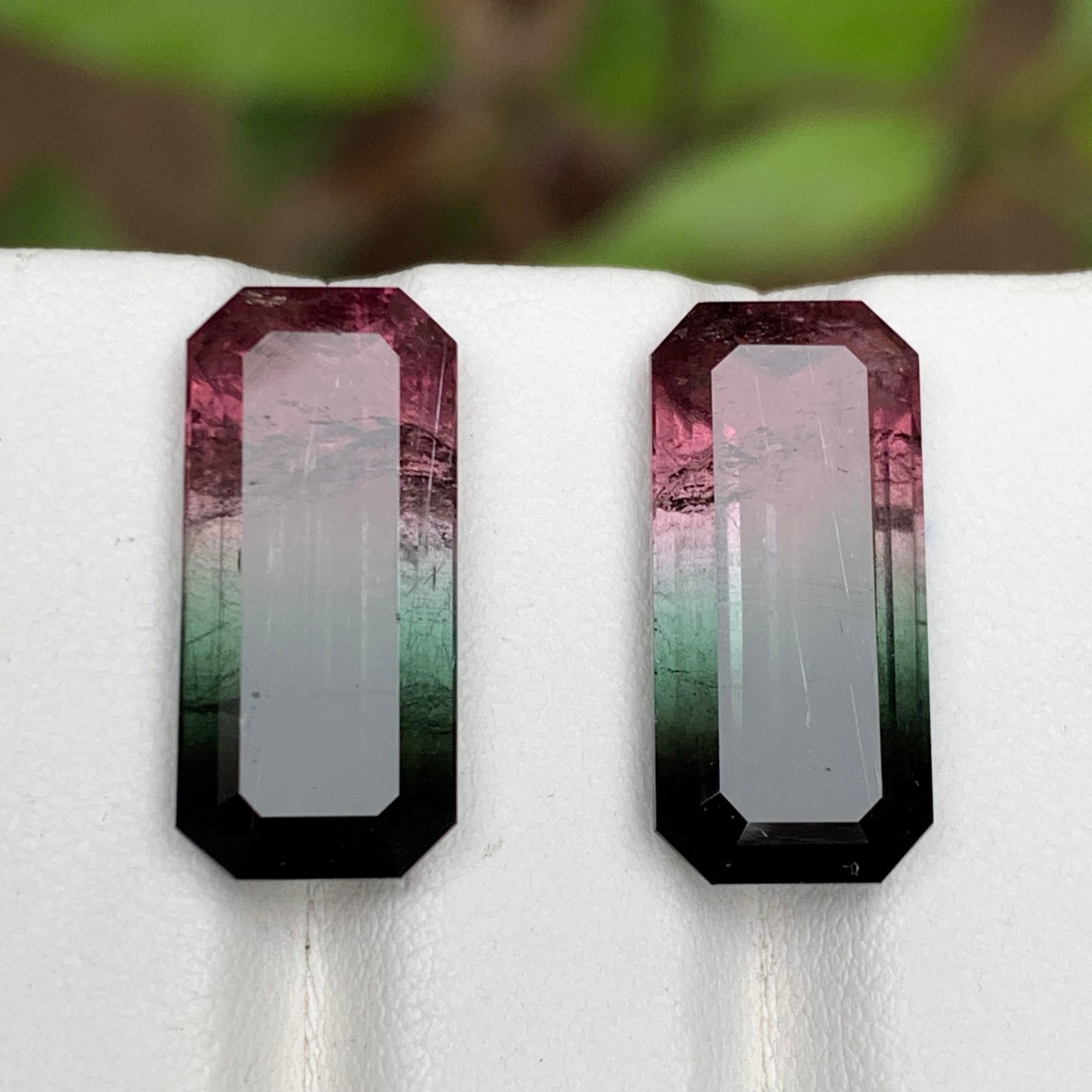 Paire de tourmalines naturelles bicolores rose melon et noires, 19.05 carats en vente 2